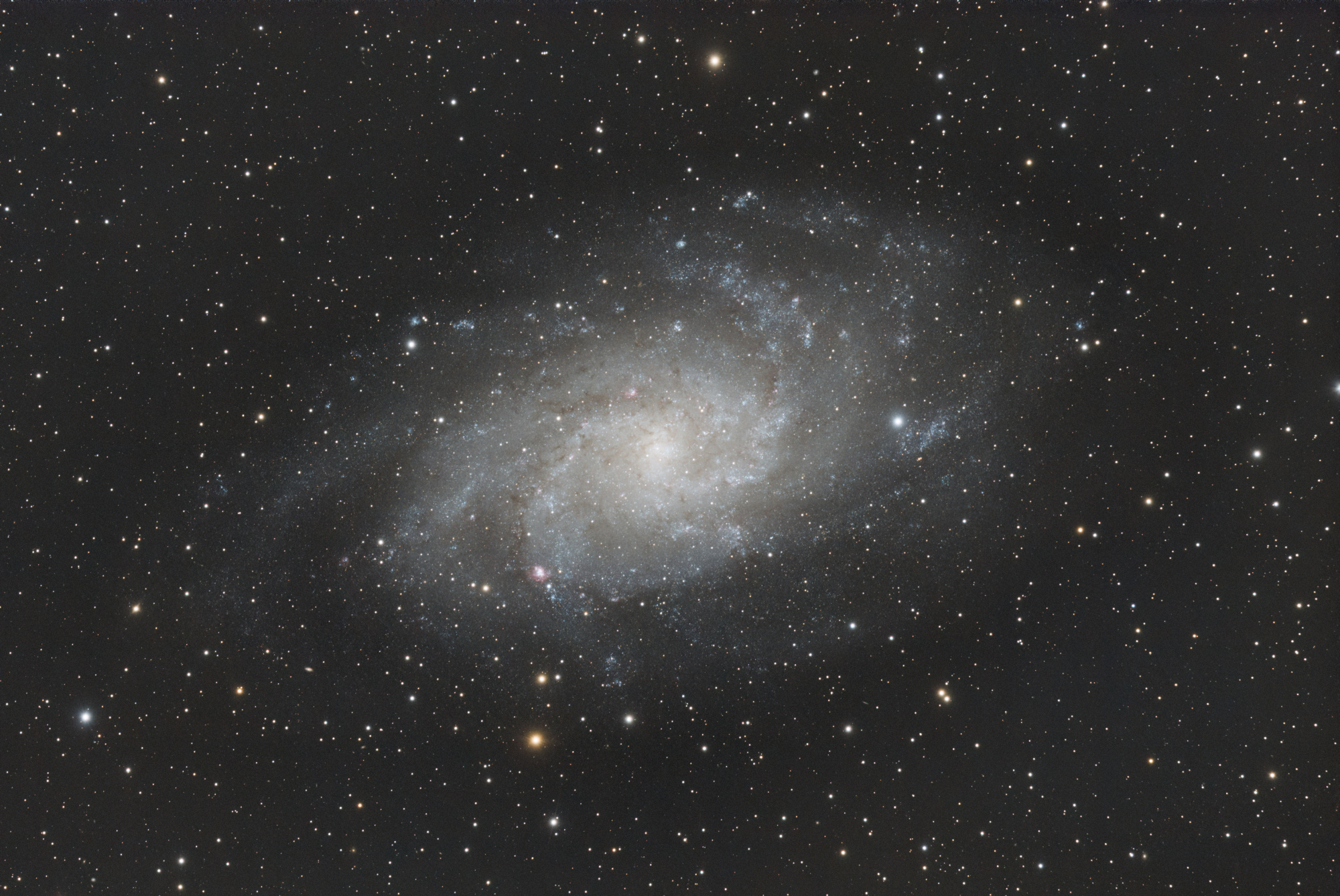 M33_SIRIL-L1-iris-2023-cs5-3-FINAL-x.jpg