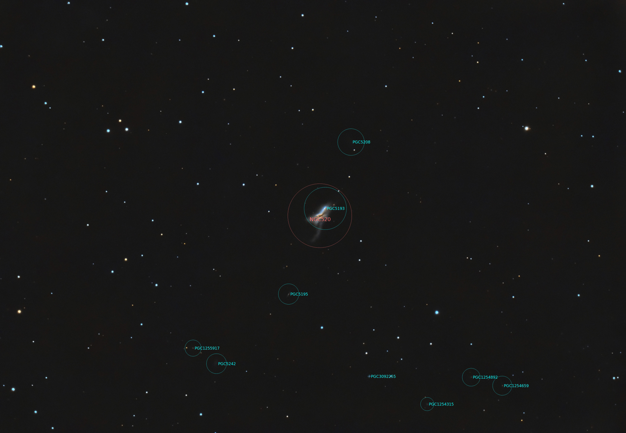 NGC520_C8_artemis_294c_RGB_Siril-Pix-PS-finale_Annotated.thumb.jpg.9729857241171c555677f419e469e6ec.jpg