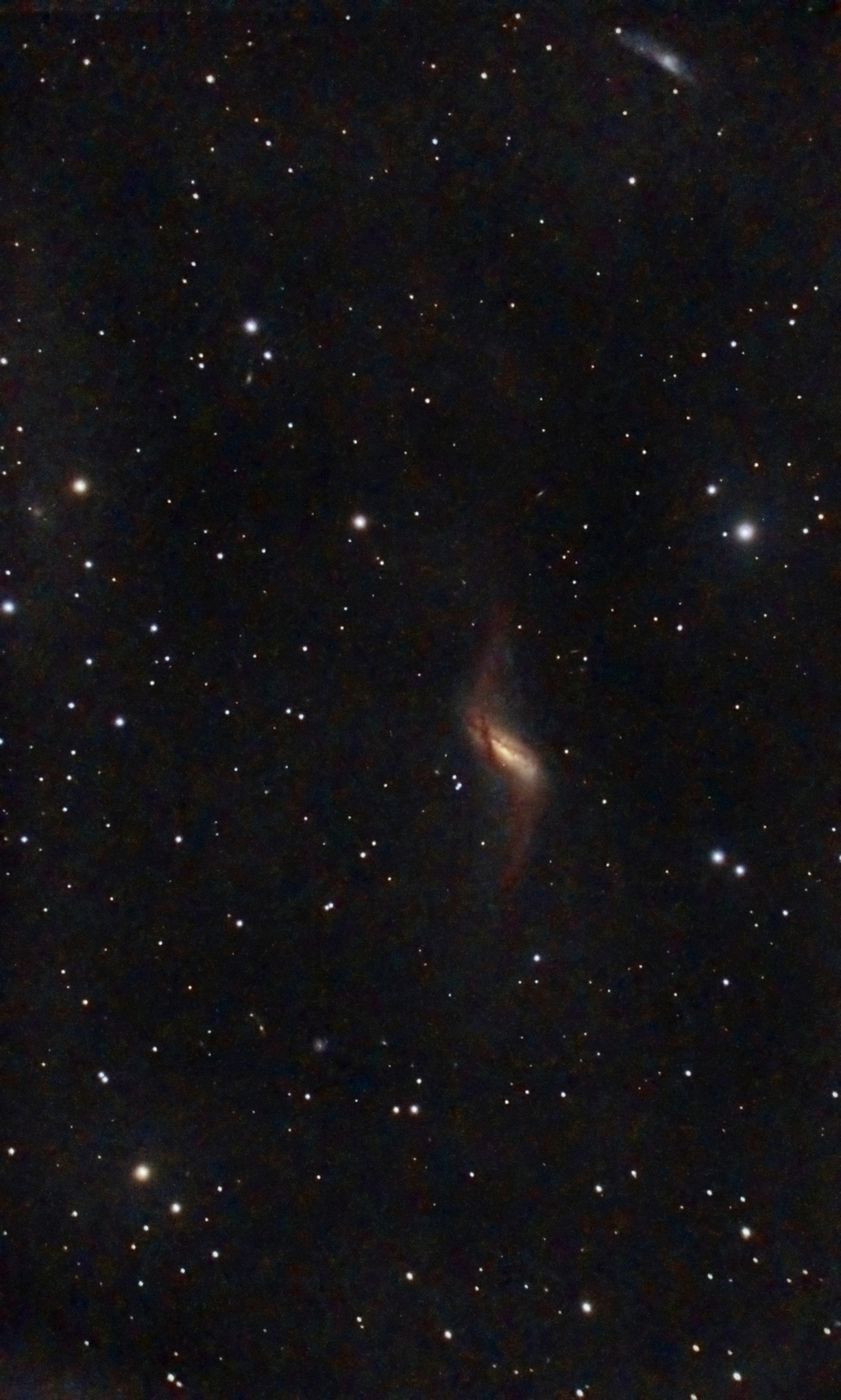 NGC660-C8-artemis_RGB-Siril-PIx-PS-finale.thumb.jpg.277e6abedc848383968345a8199ad4a3.jpg