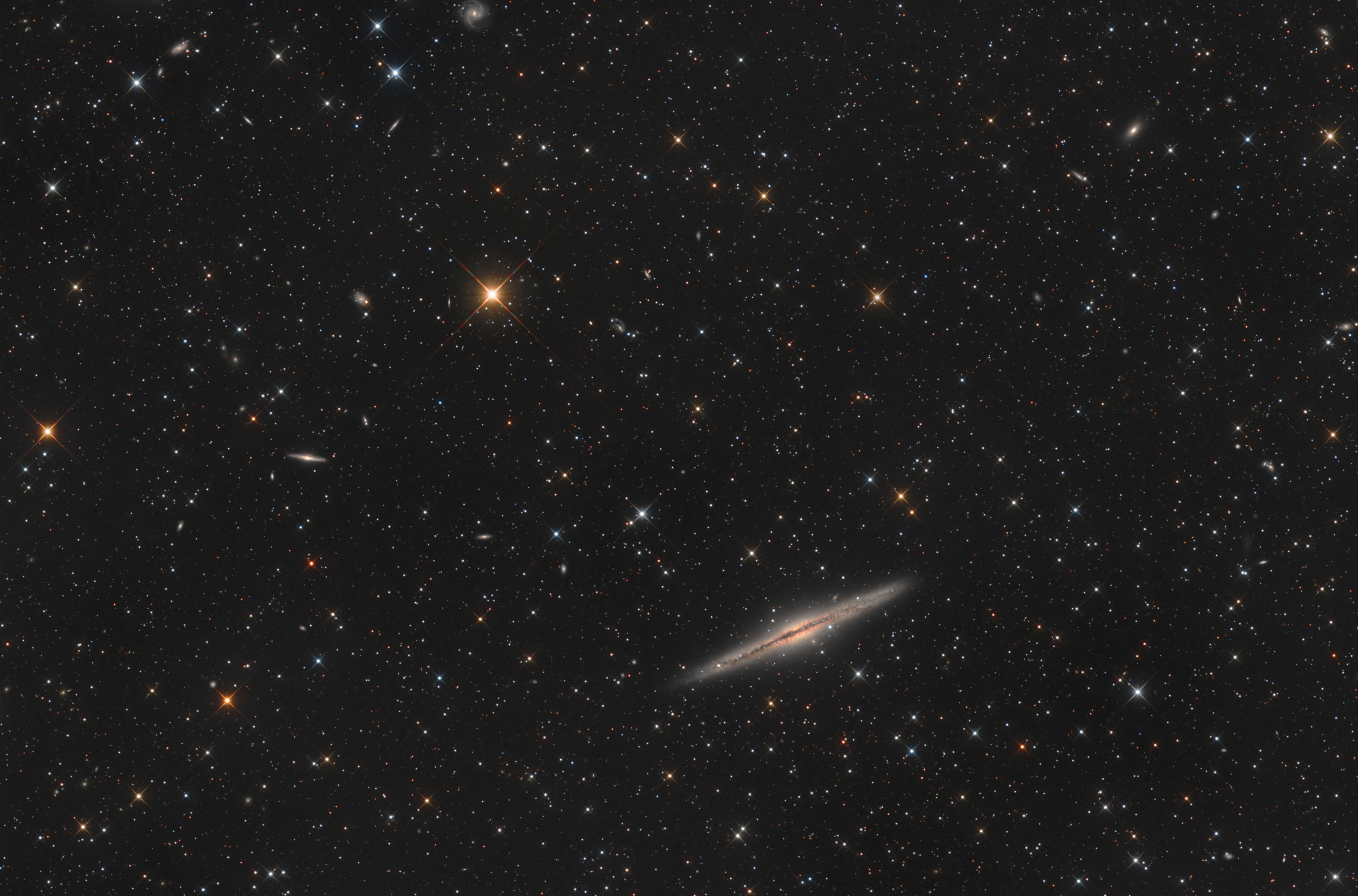 NGC891.thumb.jpg.9323170c75b8855d0e0af861be6a3c69.jpg