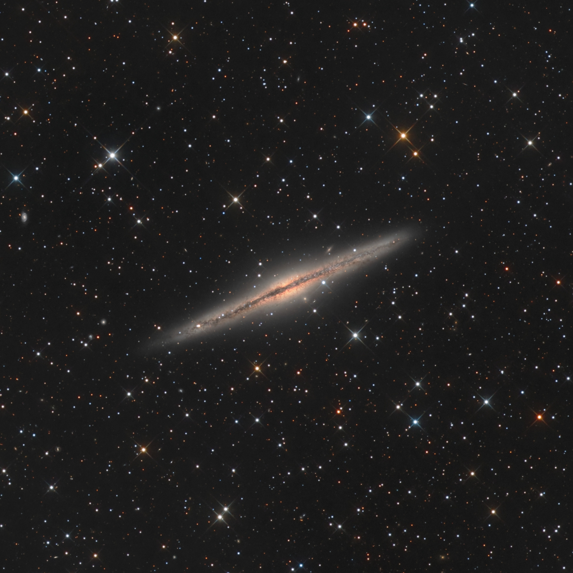 NGC891crop.thumb.jpg.f9e60021708e2836bf3f29eb55c529af.jpg