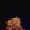 Constellation d'Orion Dimanche 15 Octobre 2023    DSC08550 copie 4.jpg