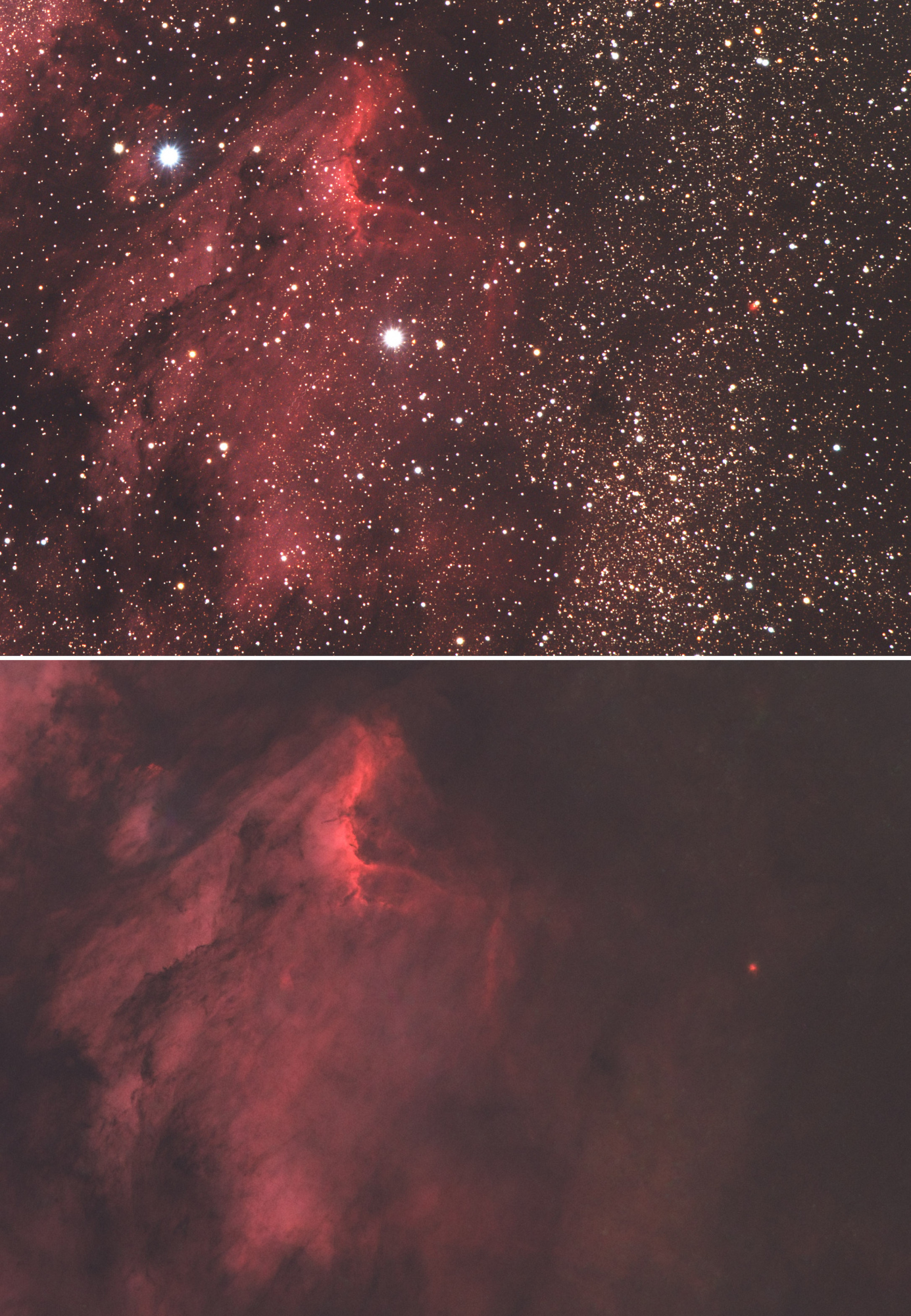 Nebuleuse Cygne avec et sans SN.jpg
