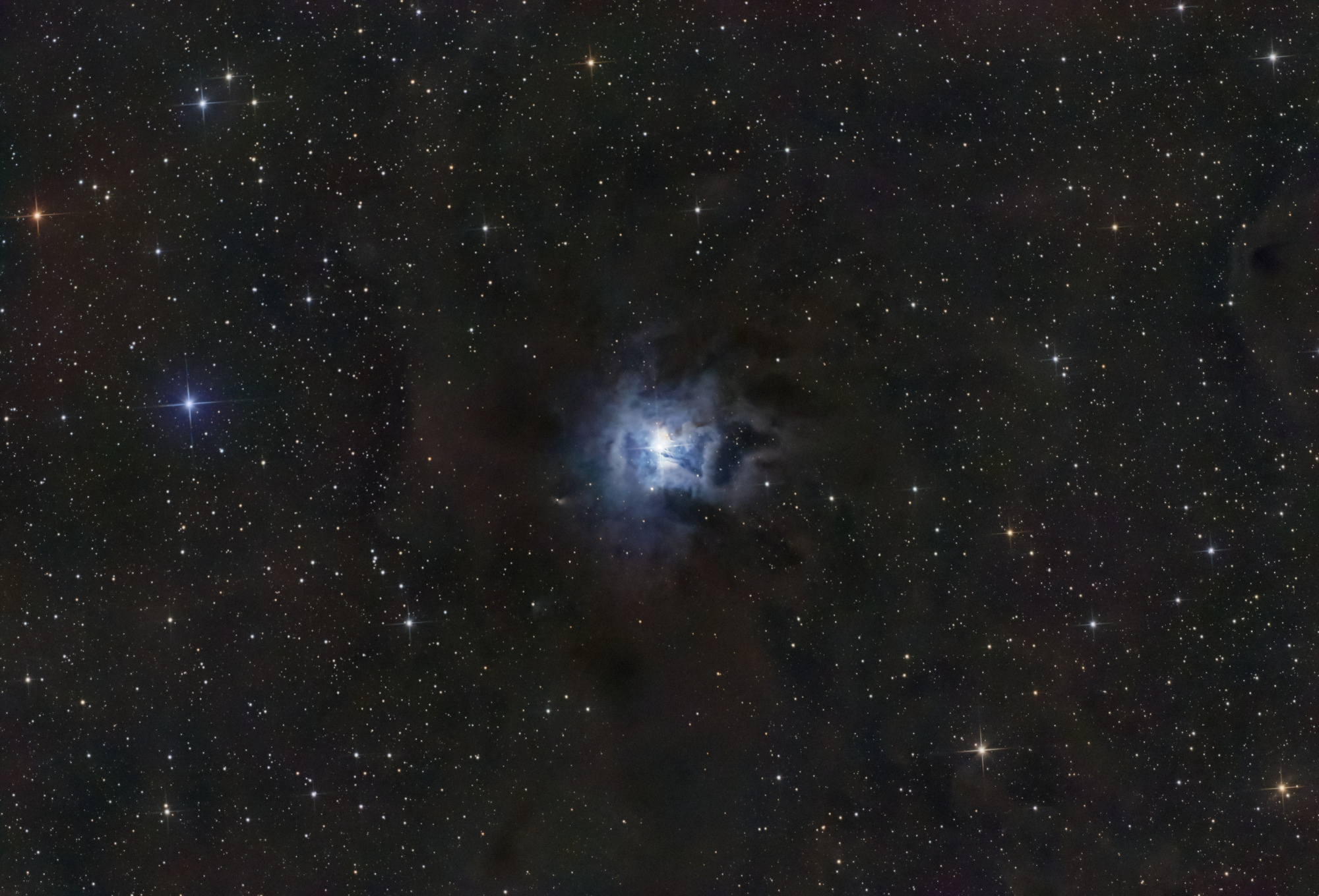 656193b371a55_NGC7023Iris-N150-artemis_294c_RGB-Siril-PIx-PS-finale-V2.thumb.jpg.16d001dd34694d7af01bbb15d725a591.jpg