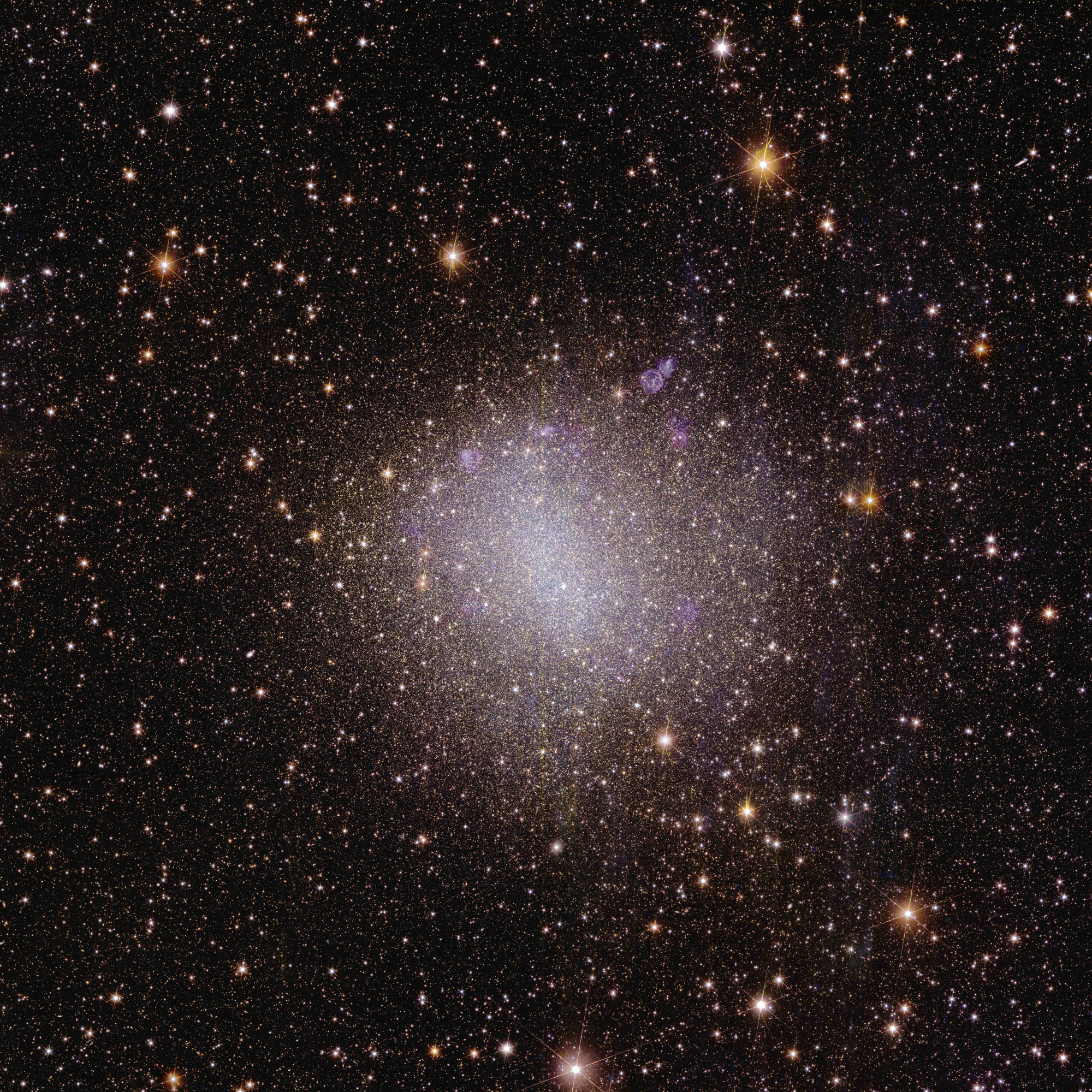 Euclid_s_view_of_irregular_galaxy_NGC_6822.jpg