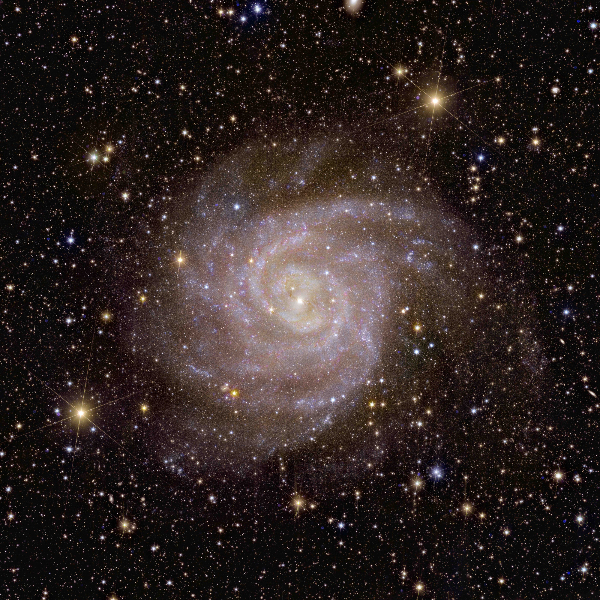 Euclid_s_view_of_spiral_galaxy_IC_342.jpg