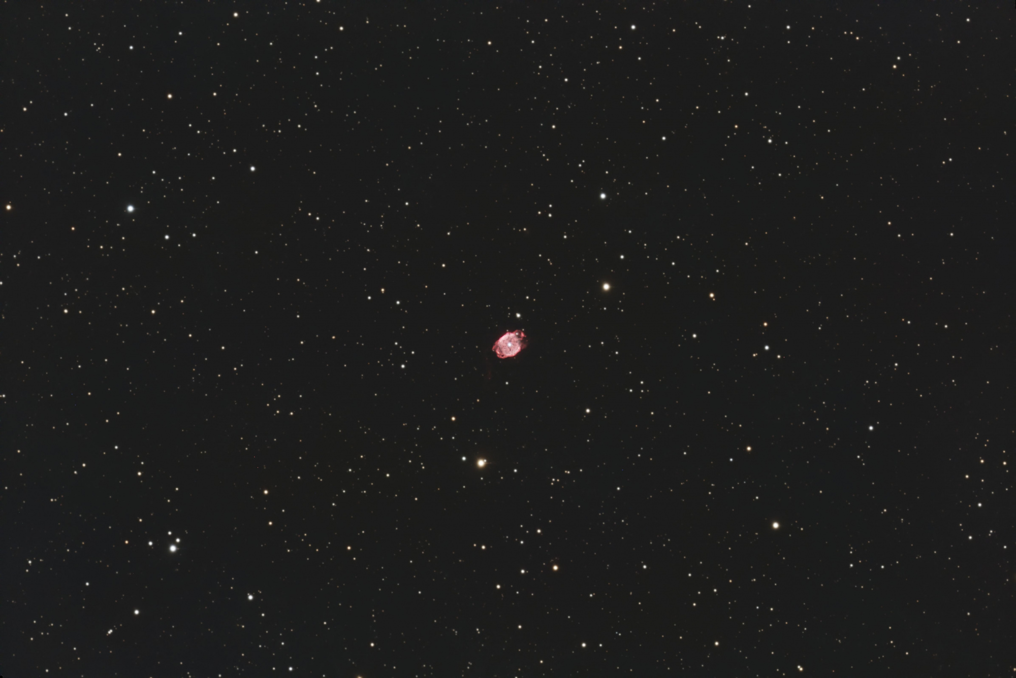 NGC40.thumb.jpg.e399963129d4413cc29af3186aa747cb.jpg