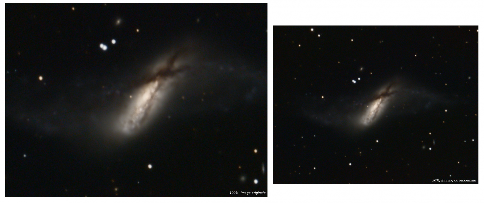 NGC660.thumb.jpg.c1fbd2a6db48f4fb7a59c7122eb534fa.jpg