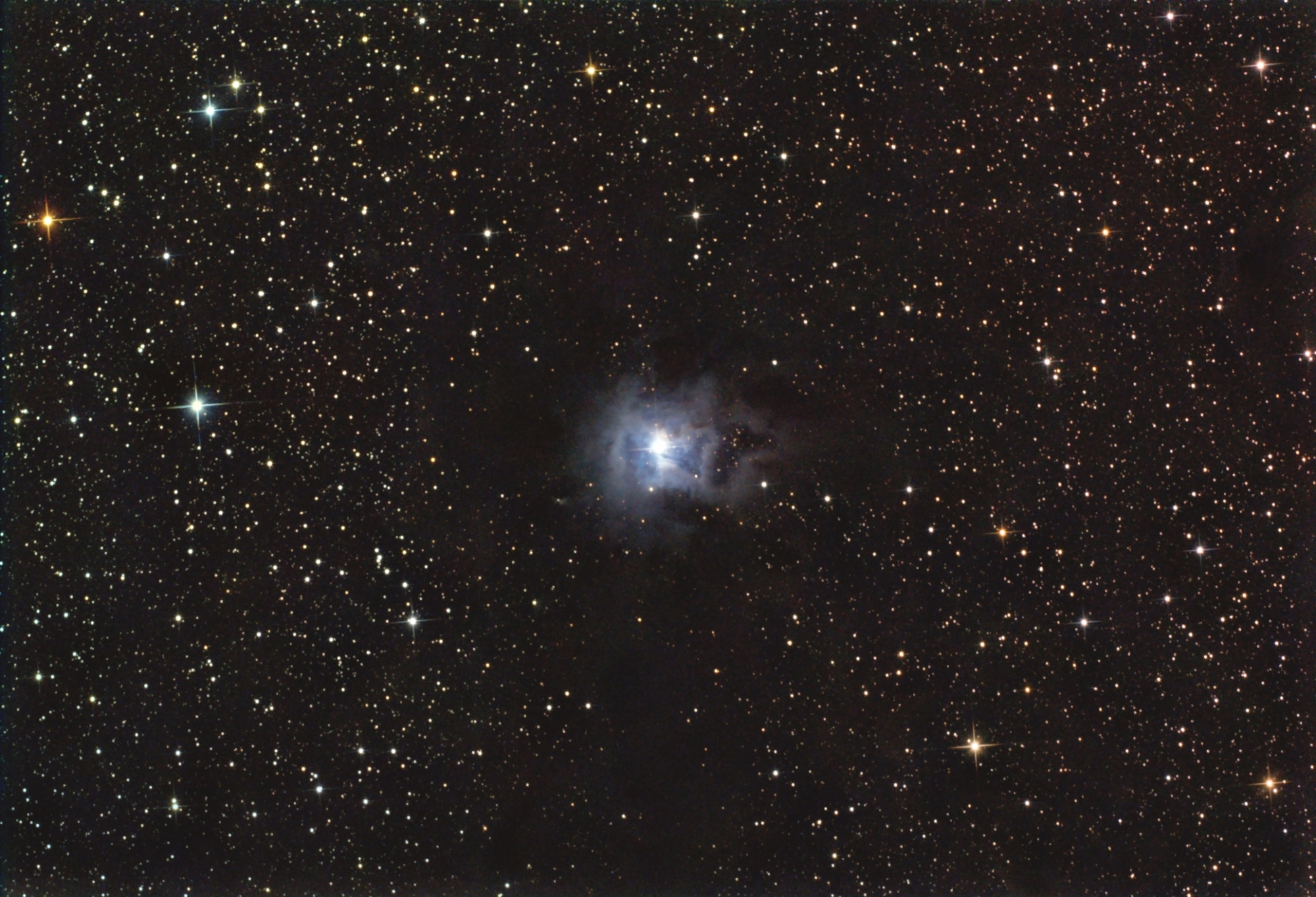 NGC7023_Iris-N150-artemis_294c_RGBetalphotoBin2histoGradsatAdoucir.thumb.jpg.016c8698c65a23c9b02f08ac88b02b9c.jpg