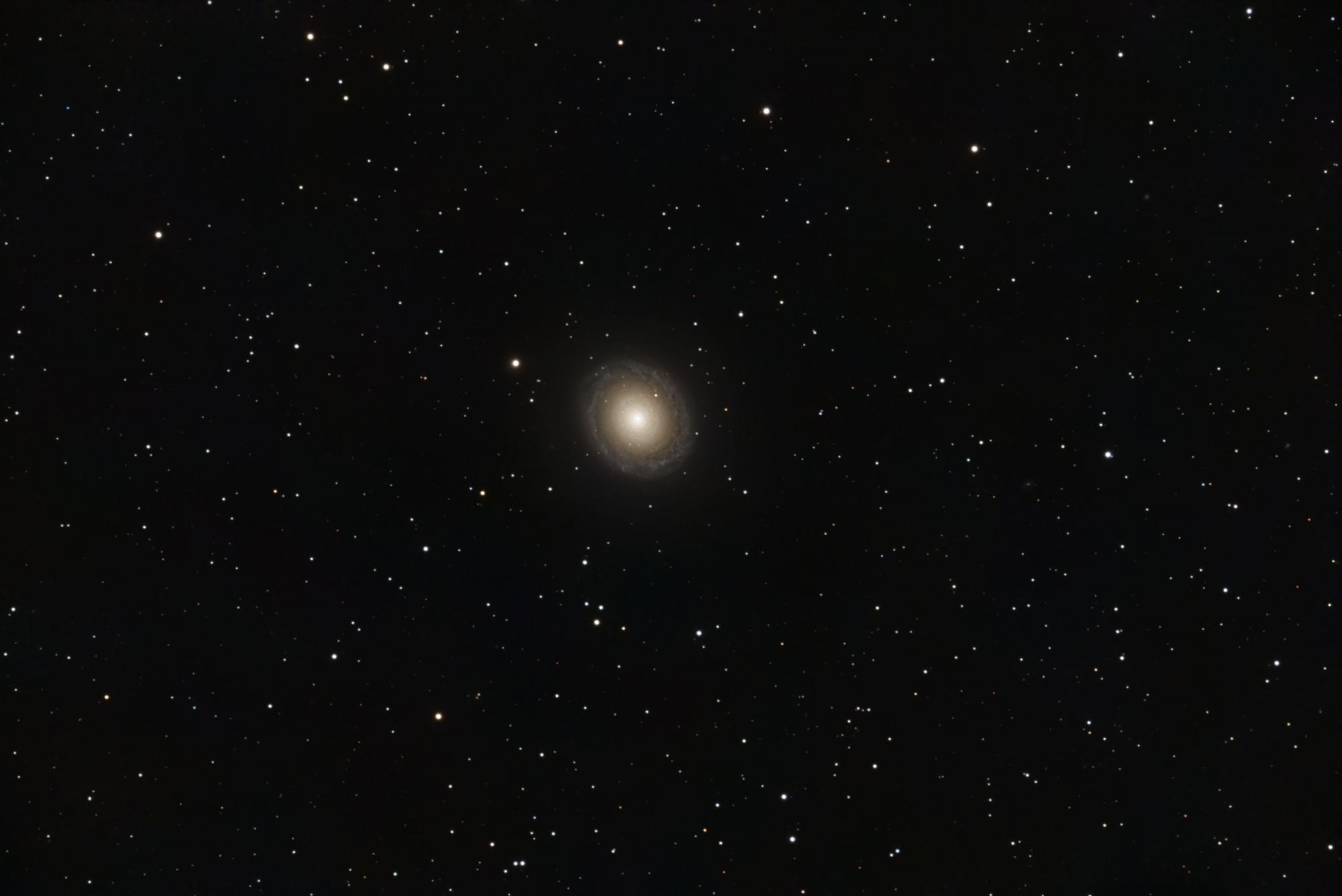 NGC7217.thumb.jpg.3cca414731a7be2e1a771623807ba88c.jpg