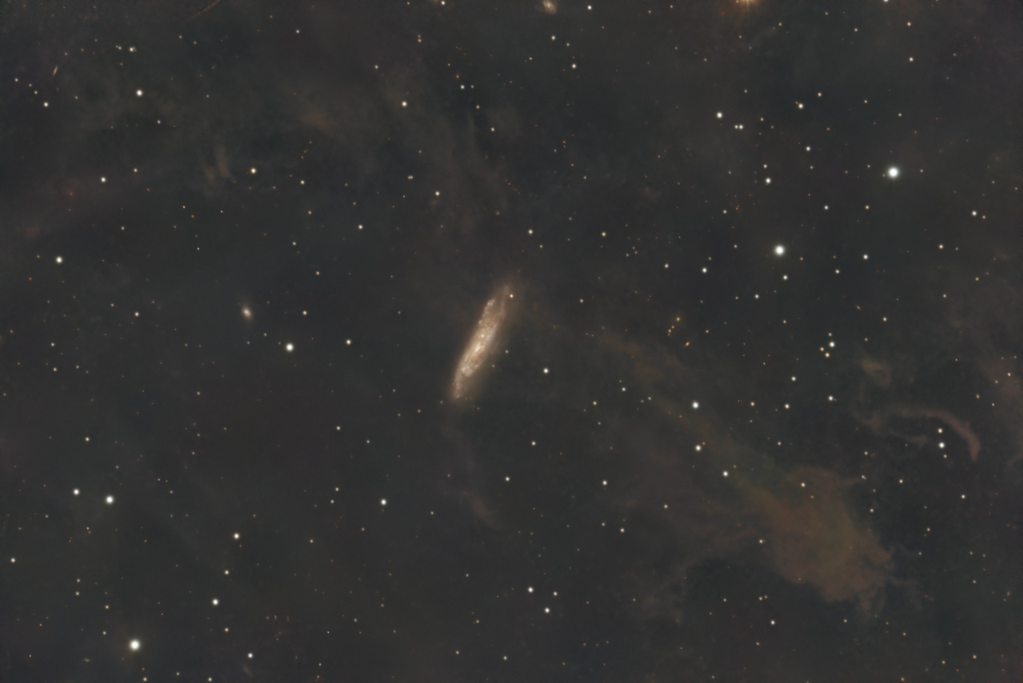 NGC7497.thumb.jpg.fc416ab3c9294162df32ef8ca2f7b66e.jpg
