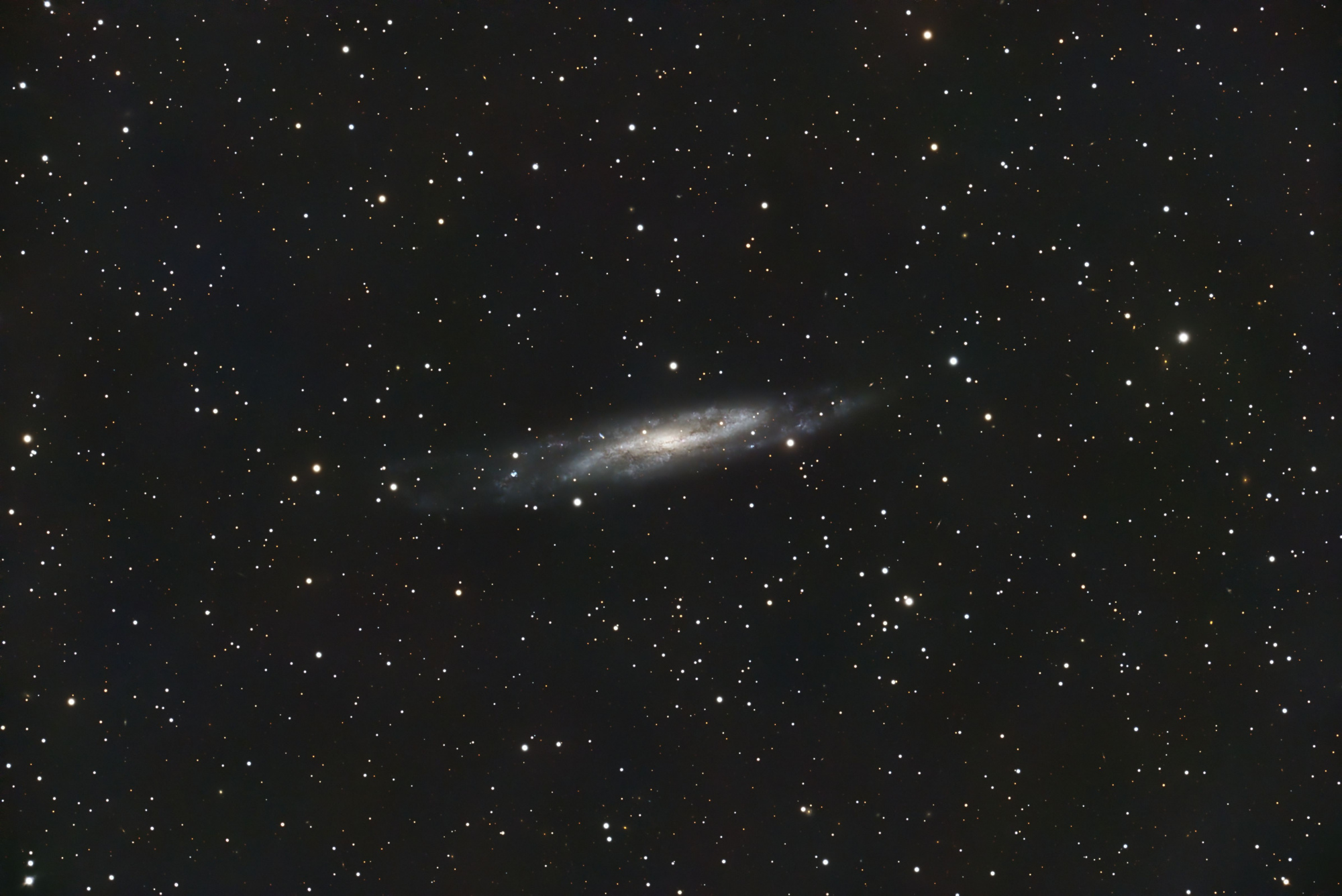 NGC7640.thumb.jpg.8419c79e31af75fe39cbe5e95780f2e9.jpg