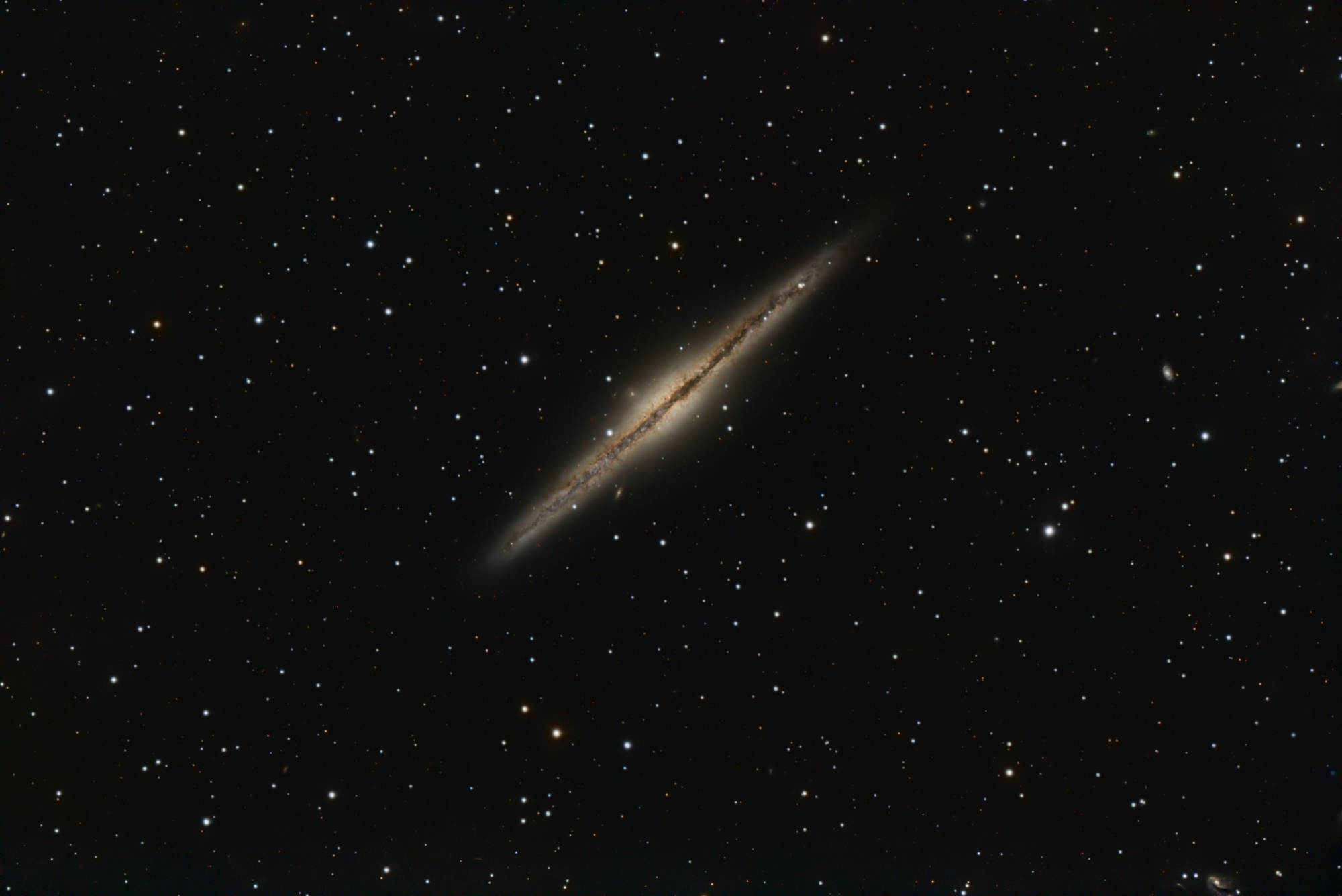NGC891.thumb.jpg.b5c9eca8c94431791b3be508162753fd.jpg