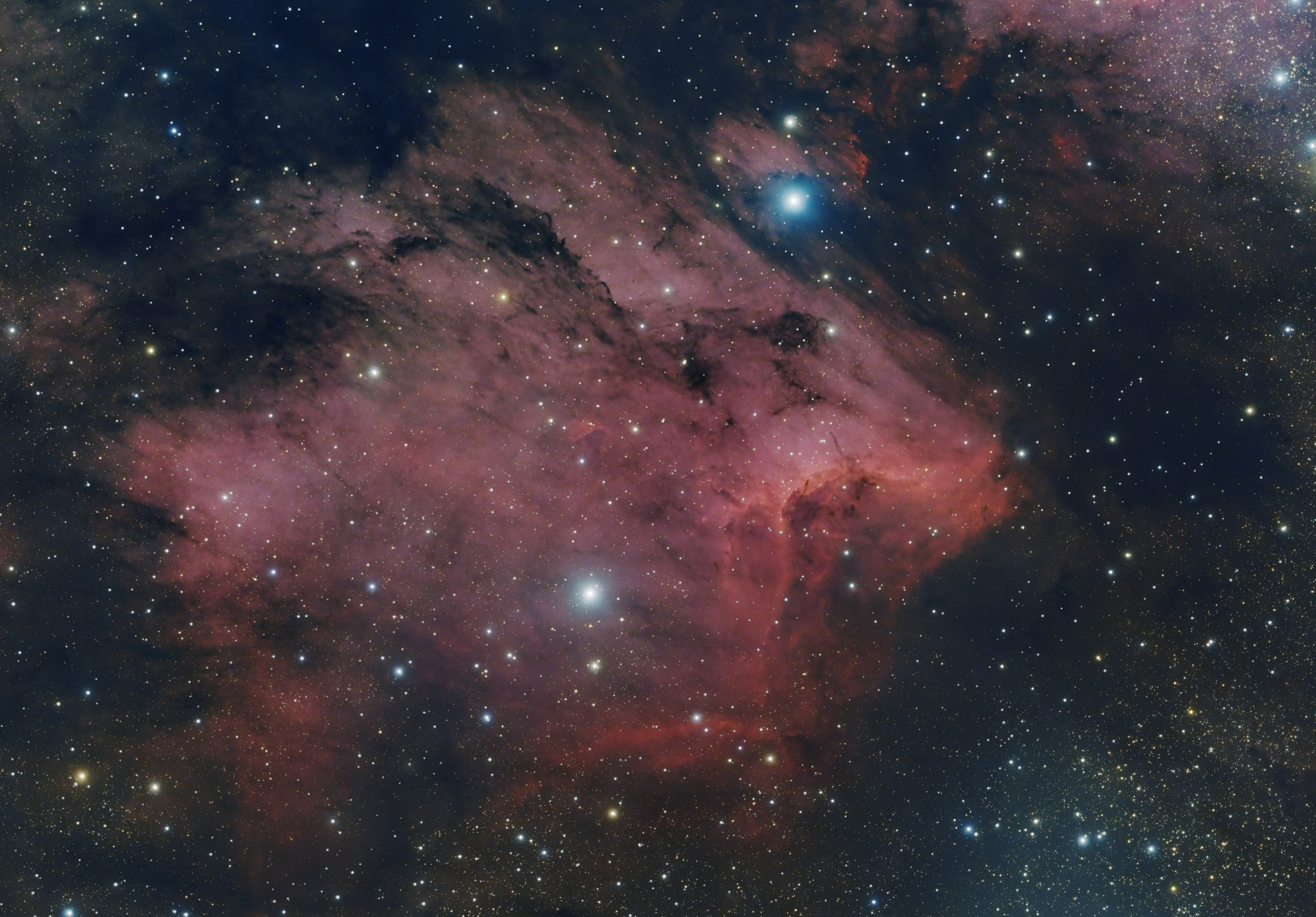 IC 5070 - Pelican nebula (cut).jpg
