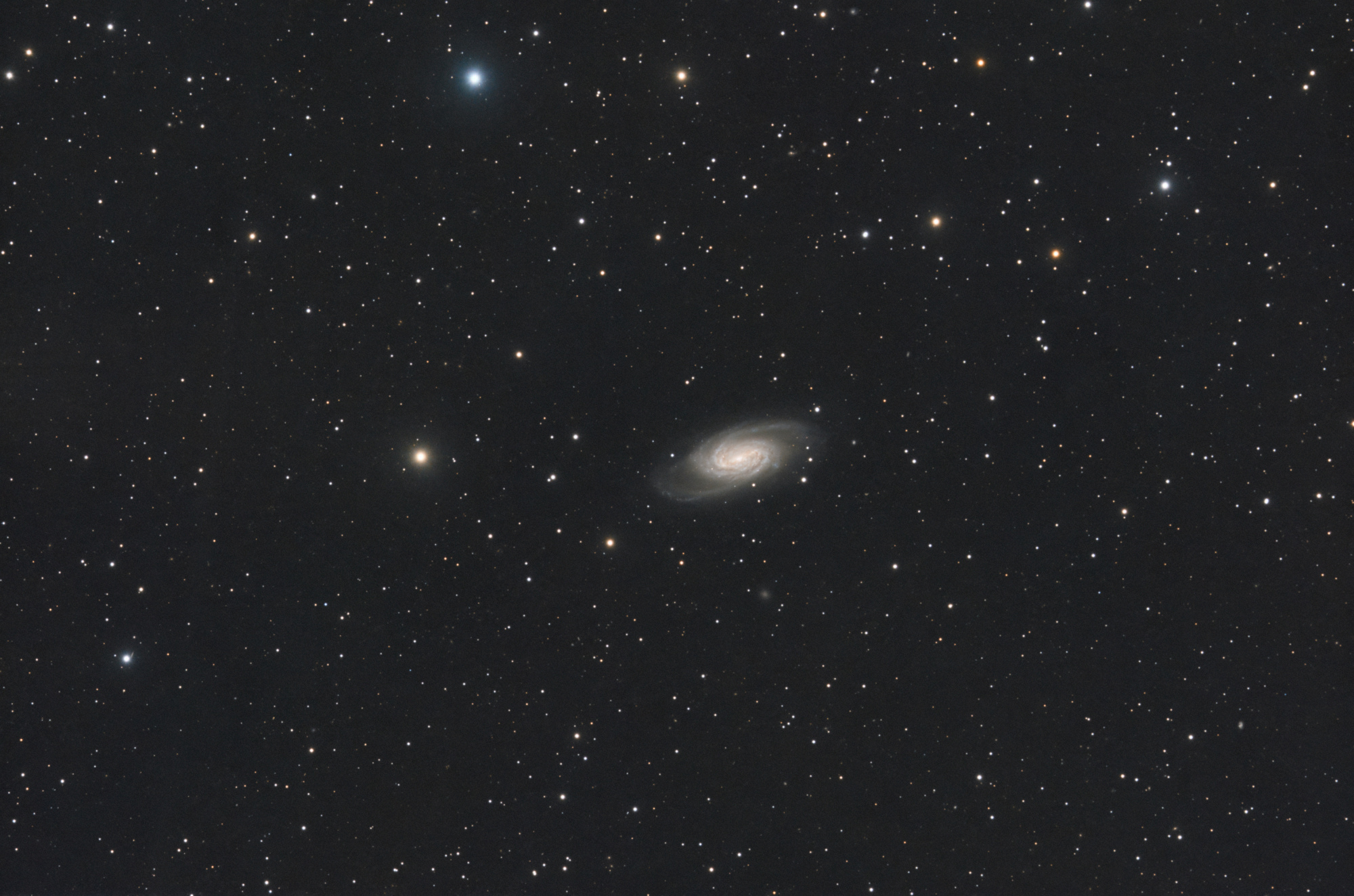 NGC_2903_SIRIL-L17+L24-iris-étir-cs5-4-FINAL-1-x.jpg