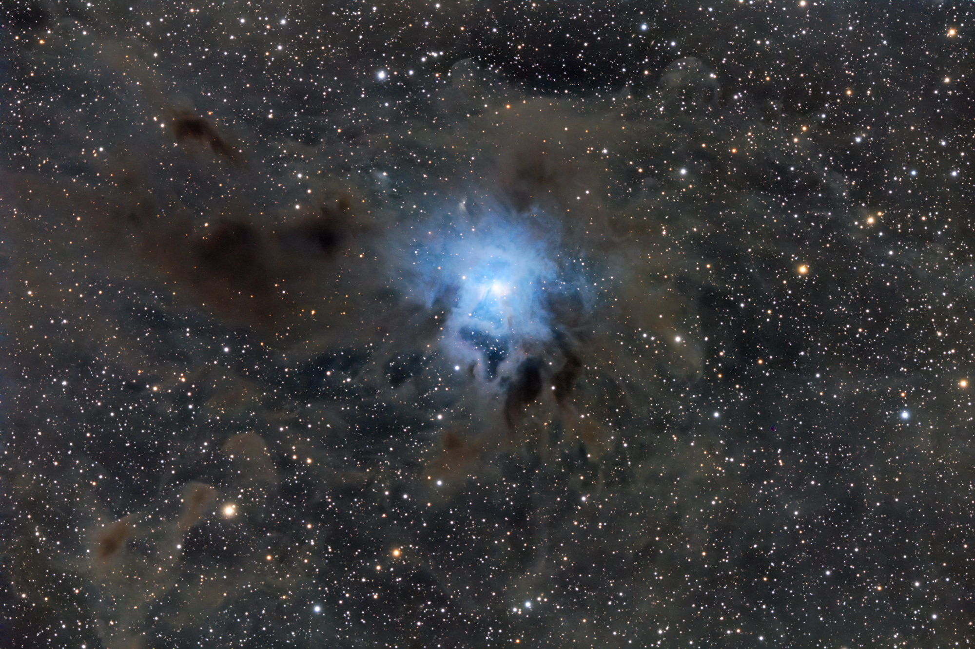 NGC 7023_SIRIL-1-iris-étir-cs5-2-FINAL-1-x.jpg