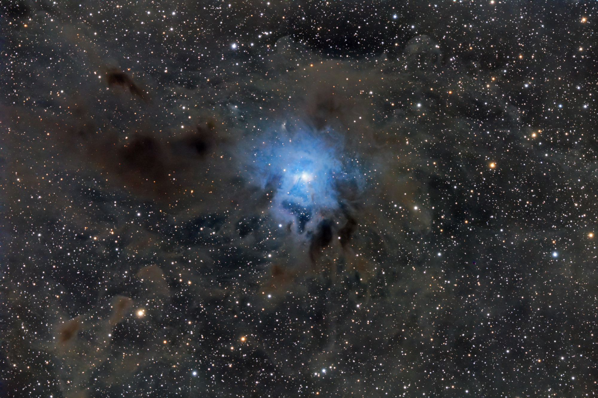 NGC_7023_SIRIL-1-iris-étir-cs5-2-FINAL-2-x.jpg