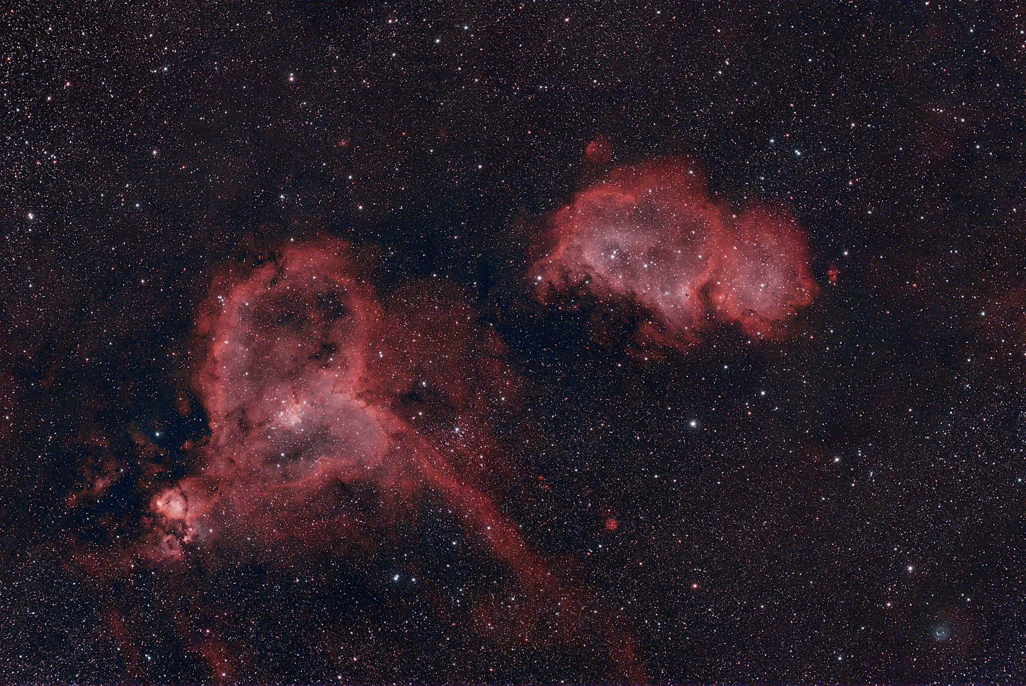 IC1848_1805_RGB.jpg