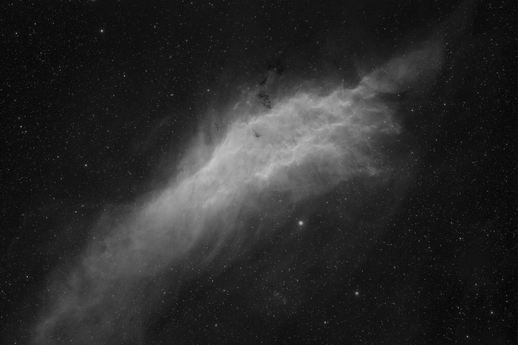 NGC1499.thumb.jpg.ad65d5734161598de47bd12f64e466d1.jpg