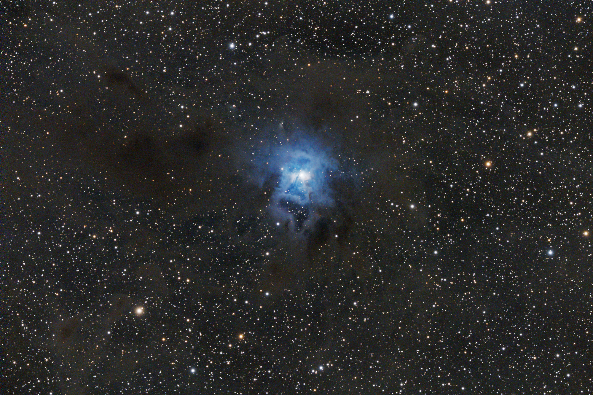NGC_7023_SIRIL-1-iris-cs5-2-FINAL.jpg