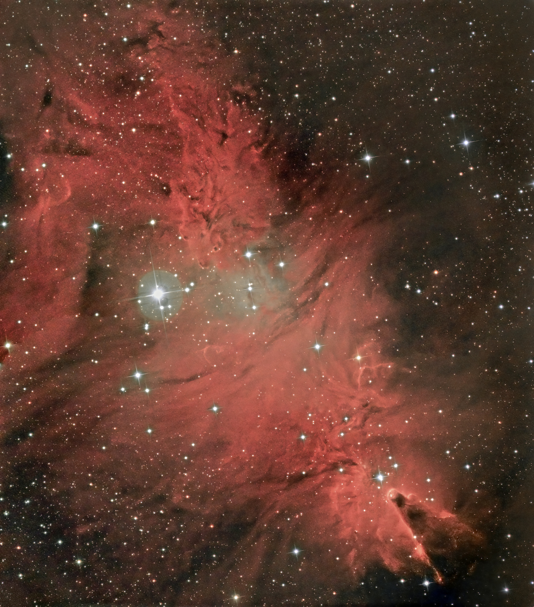 NGC 2264 hdr.jpg
