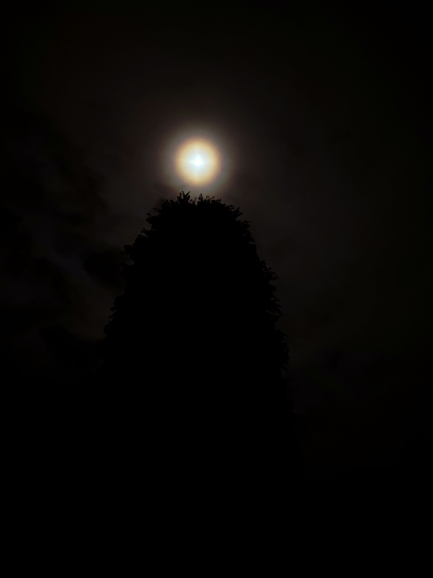 4 Lune couronne 21 janvier 0485B1 send.jpg