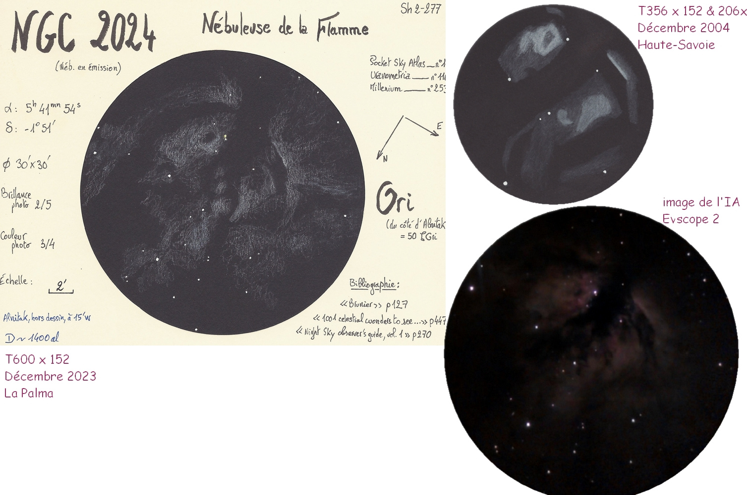 65b6c05f70743_NGC2024comparatif.jpg.f72ac17ef8f78a2b8dde220a873311e1.jpg