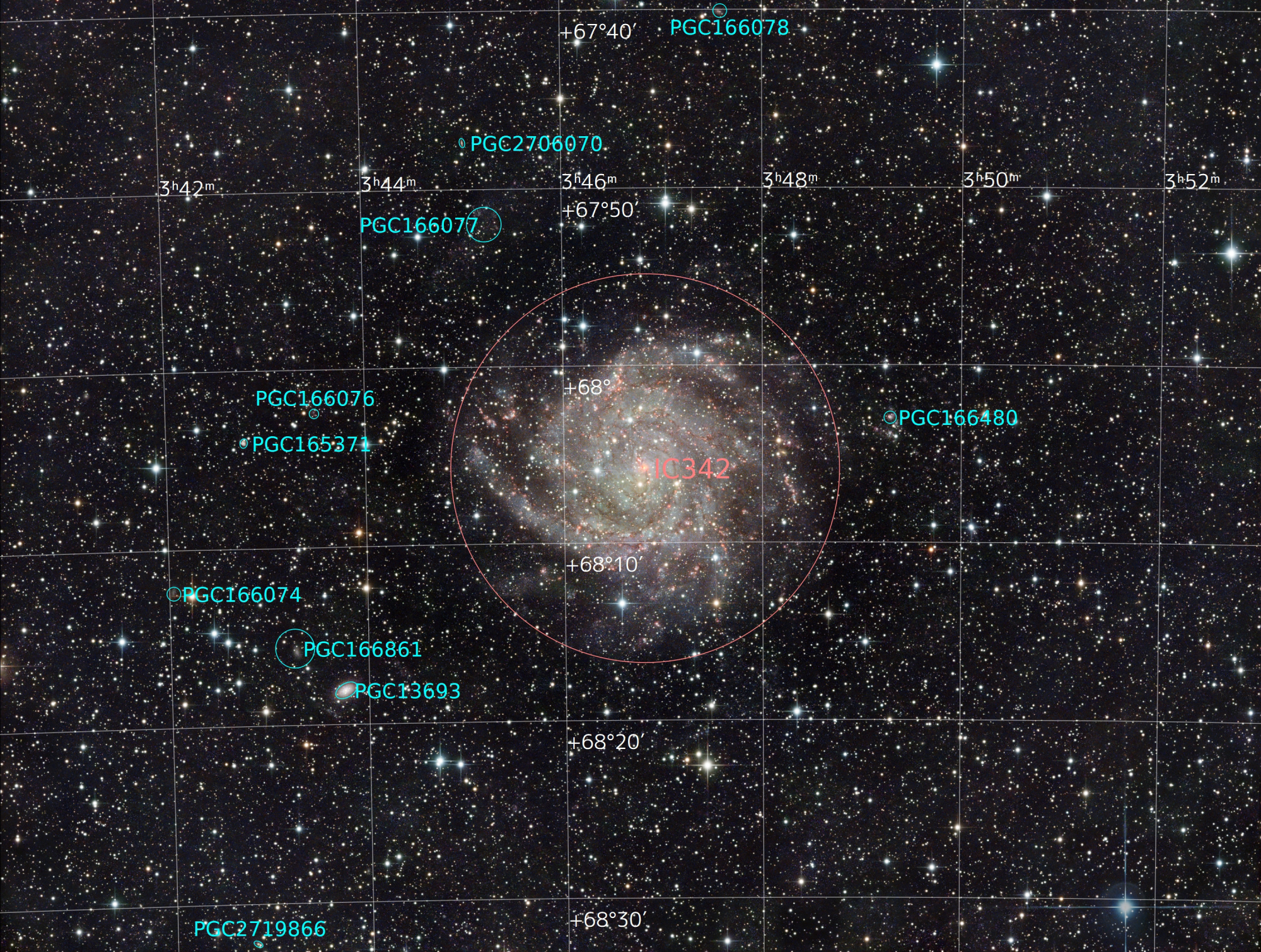 IC342_Assemblage_Stars_Starless_NoiseXT_Coul_Reduit_Annotated.thumb.jpg.6f201aa7349bf581c6defc62e81cff10.jpg