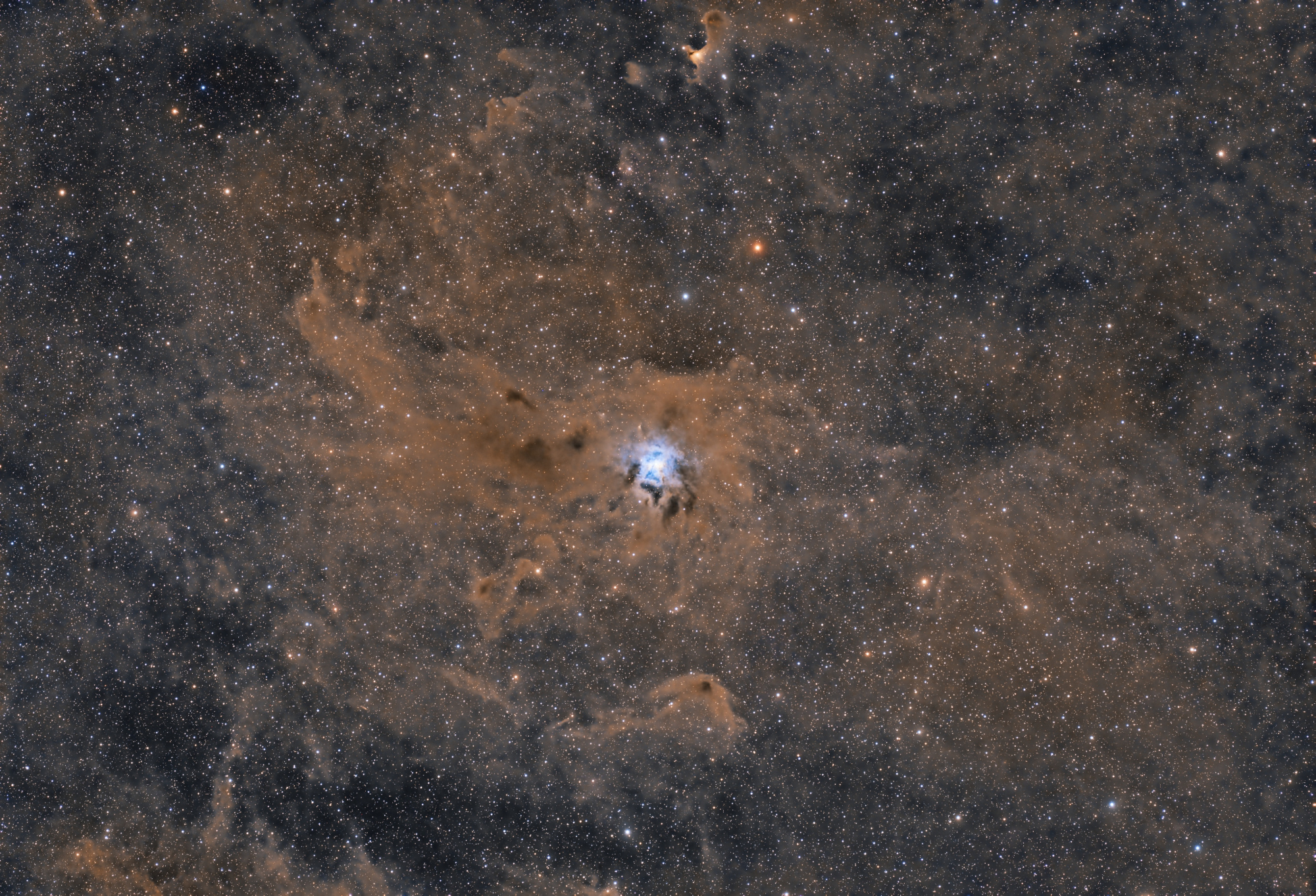 Iris_Nebula_(NGC_7023).jpg