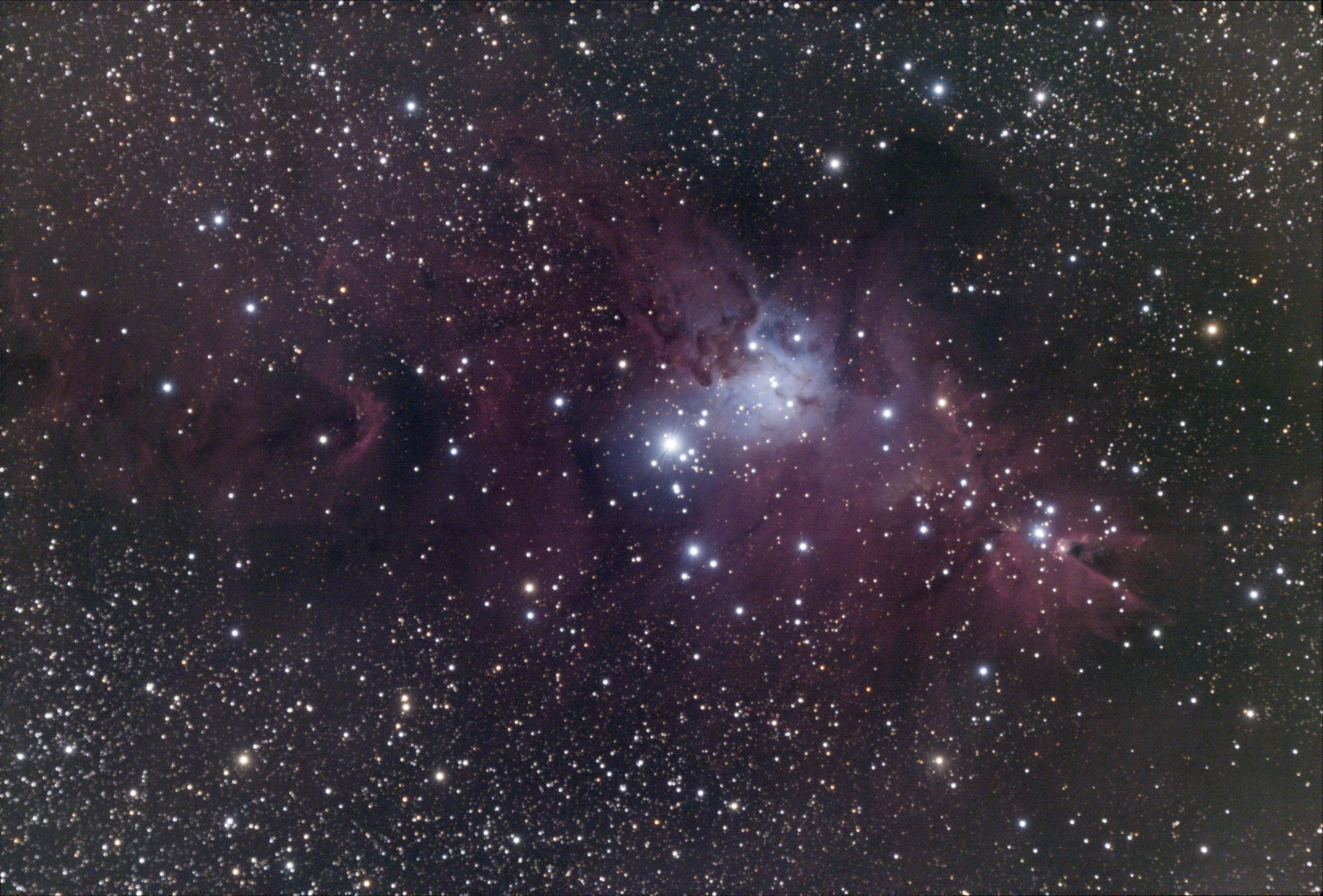 NGC2264-RGB-St.jpg