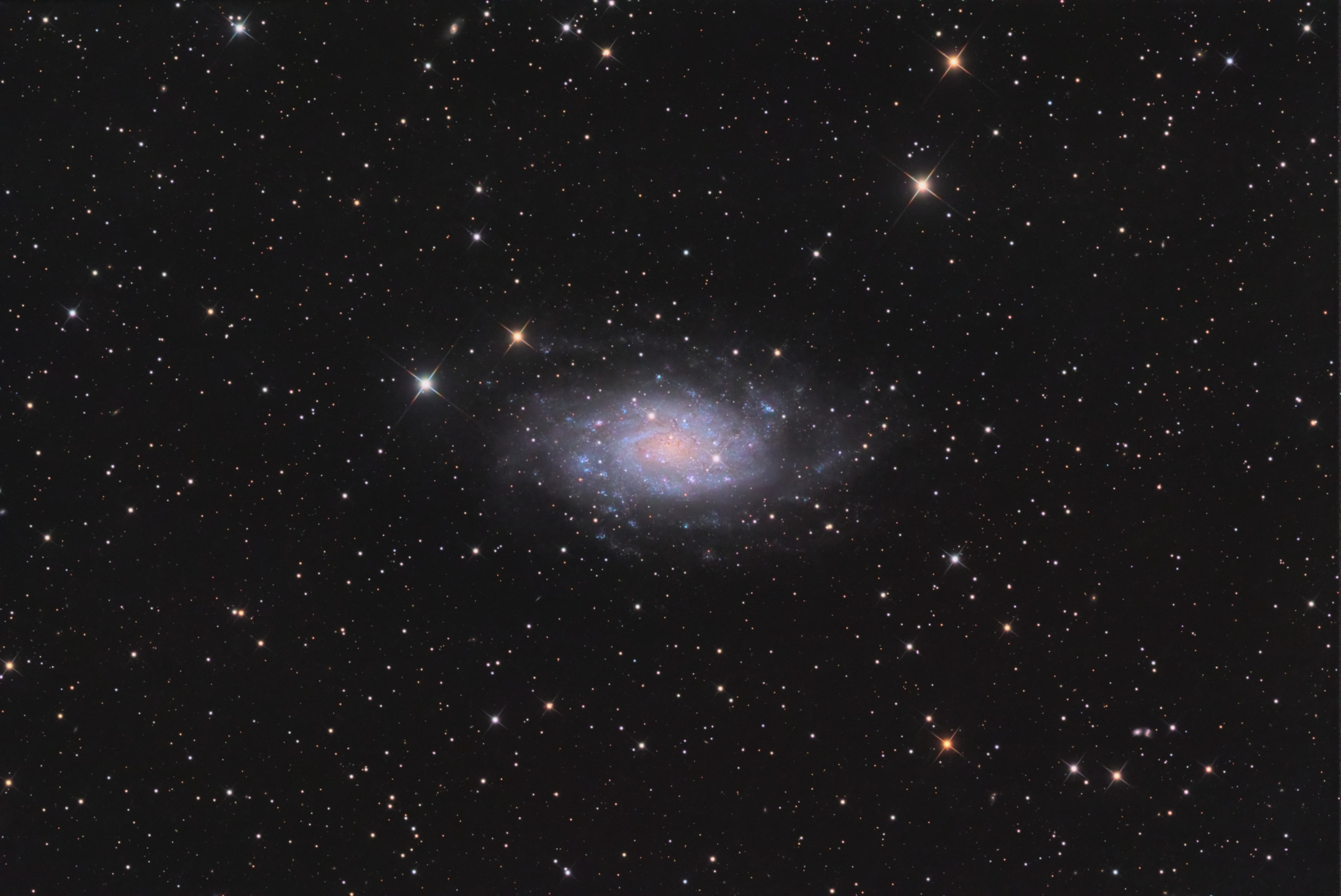 NGC2403large.thumb.jpg.5946a13dffd80a5fa270956930d68454.jpg