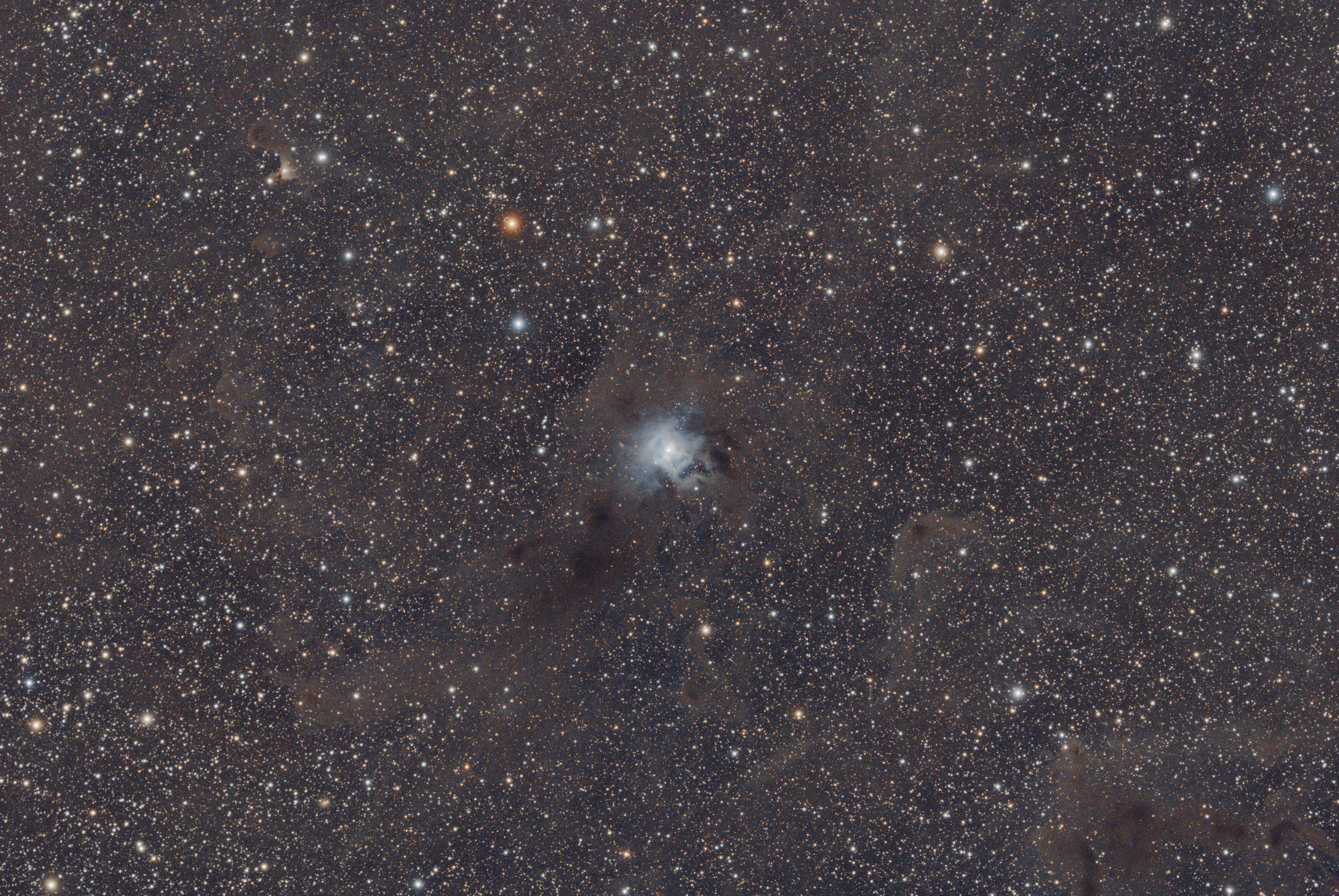 r_pp_NGC7023_53x180s_gain100_20230515_-10C_LP_stacked_histo.thumb.jpg.03dddd71813a63947b8f7f261da1cd68.jpg