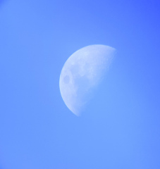 Lune 18-01-2024 .jpg