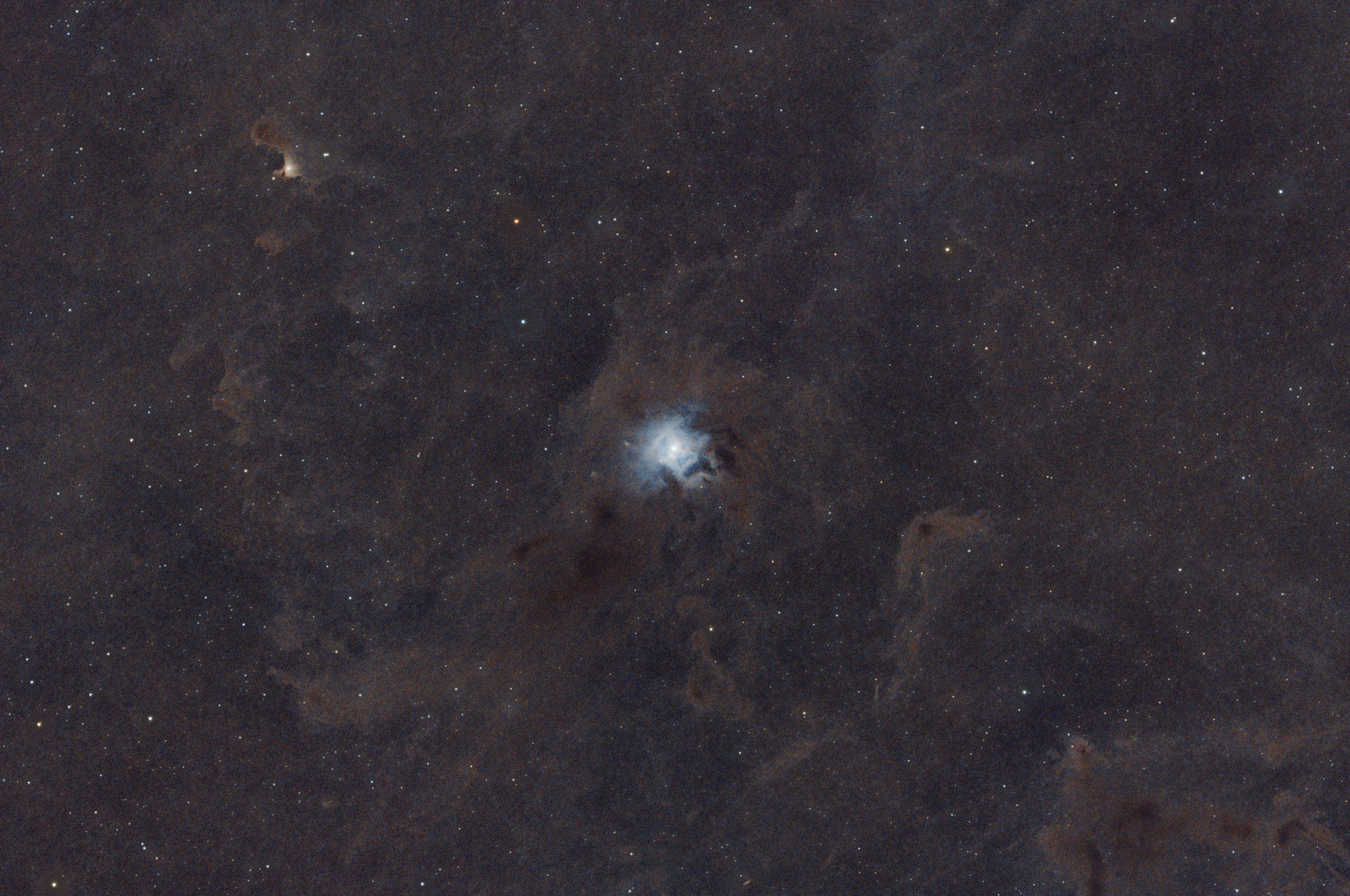 starless_r_pp_NGC7023_53x180s_gain100_20230515_-10C_LP_stacked_histo_recomp-etoile.thumb.jpg.fc645223476f77b8c7d835357ae1291c.jpg