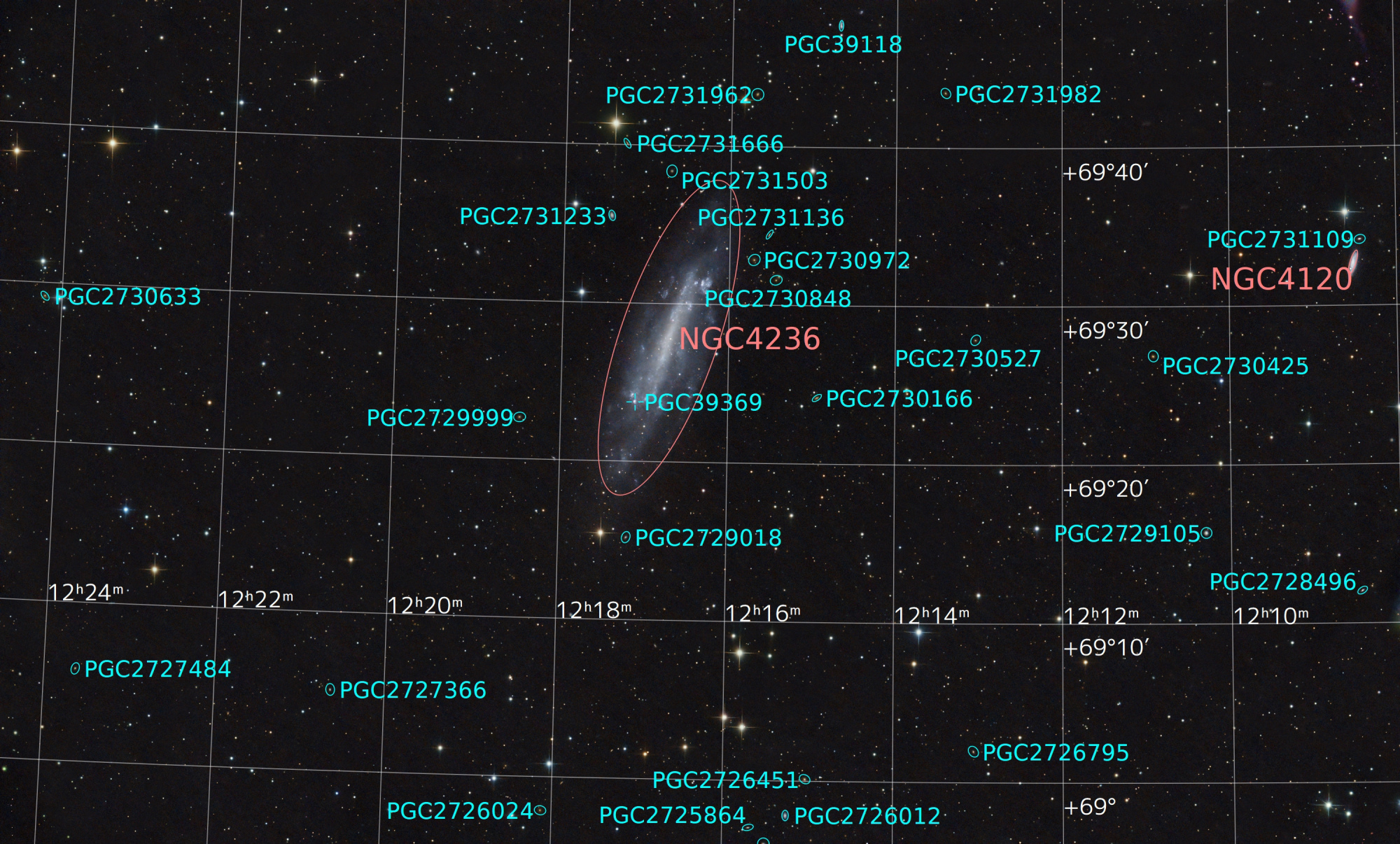 65ce058280759_NGC4236_Drizzle1_FinPix_Rduit_Annotated.thumb.jpg.51954659c161c3018425c6d2d901884e.jpg