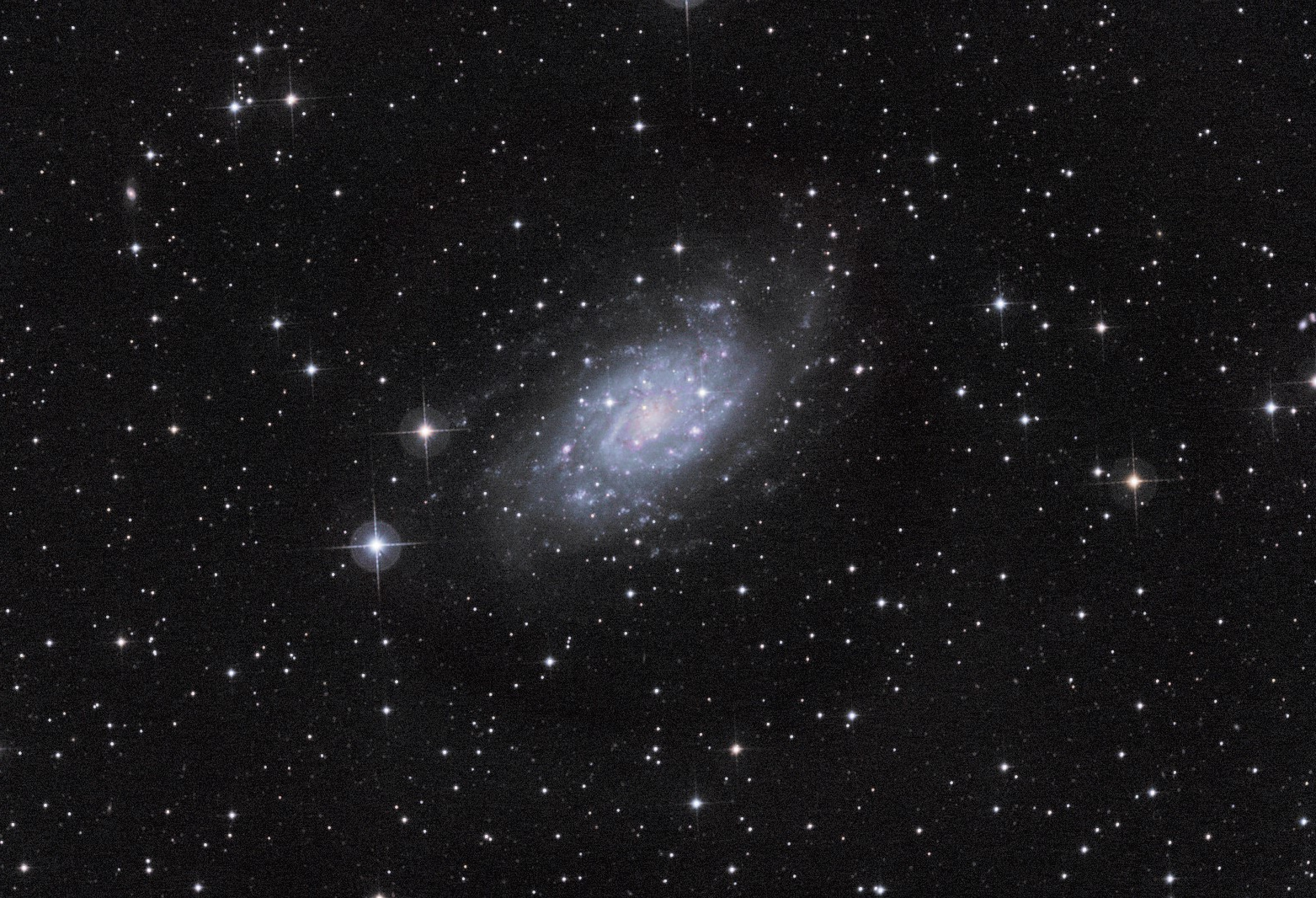65ce0b249e925_NGC2403Moravian.jpg.ed4df487d2ce3671c4ef21d82835d744.jpg