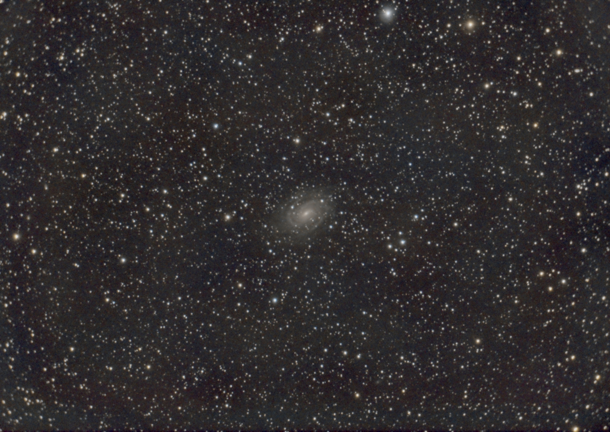 65cf132023efd_NGC6384_RGB-siril-gradient-pix-photom-scnr-MLT-MS-ACDNRv2.thumb.jpg.f2722be972cc0ddaca27dfd298ef0ce8.jpg