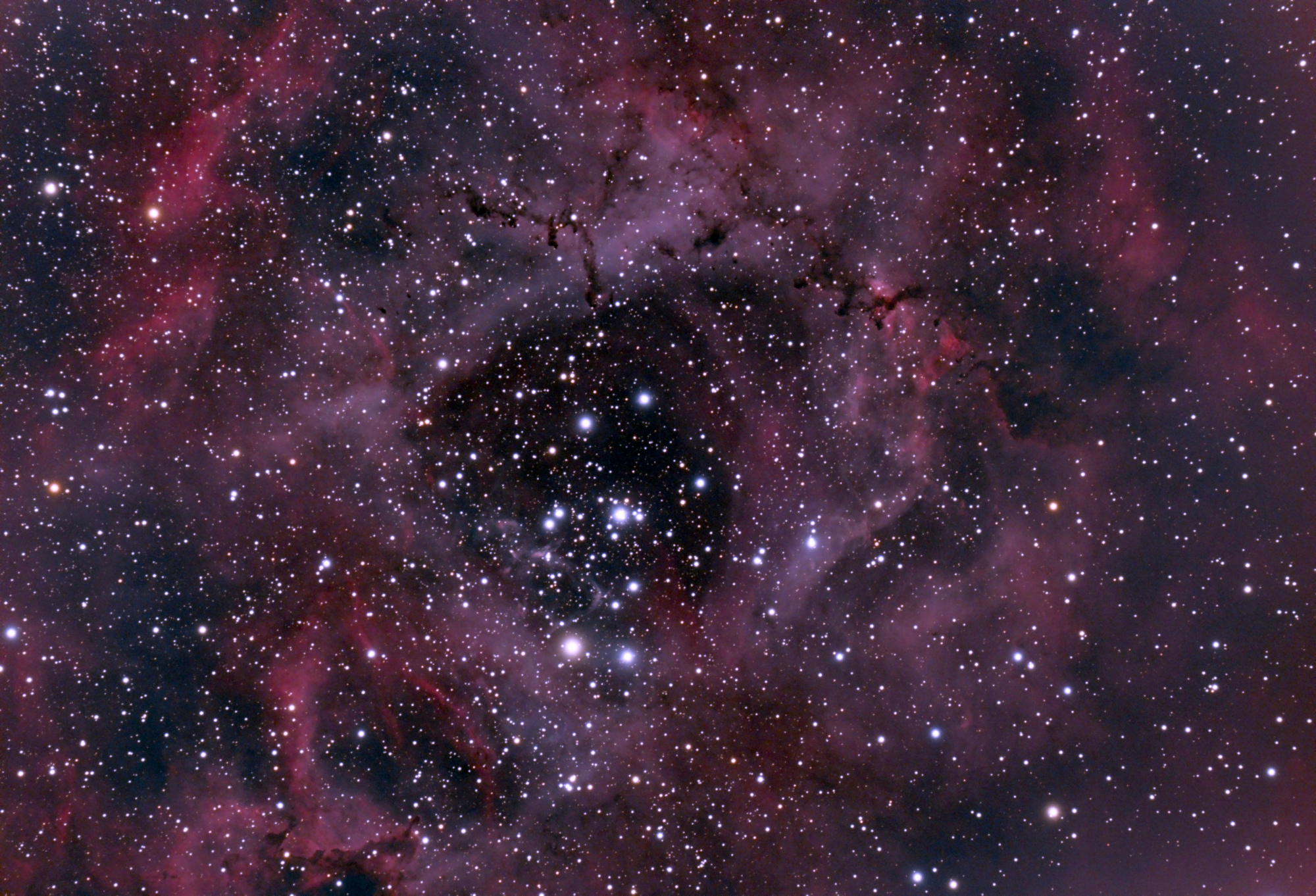 NGC 2237 v2.jpg