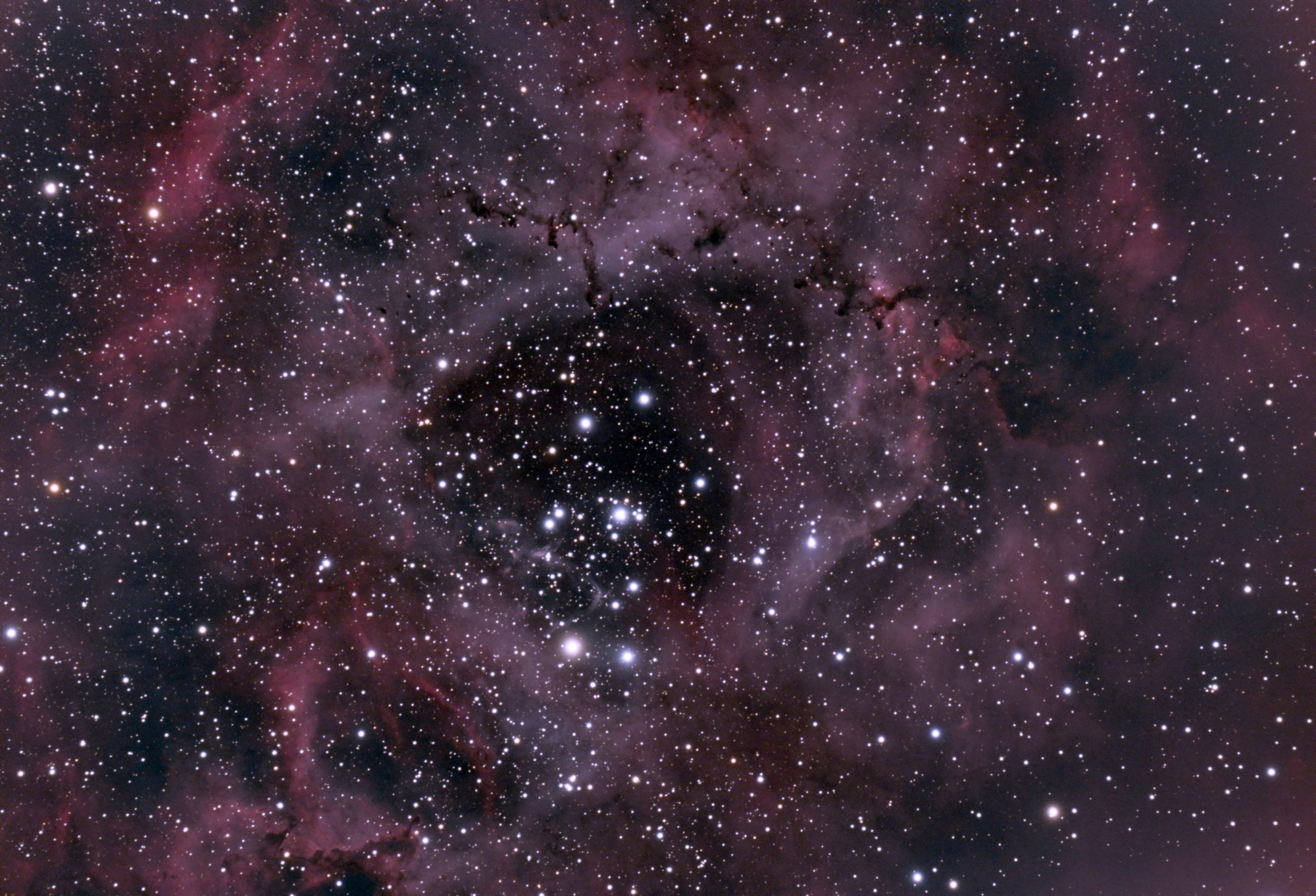 NGC 2237 v3.jpg