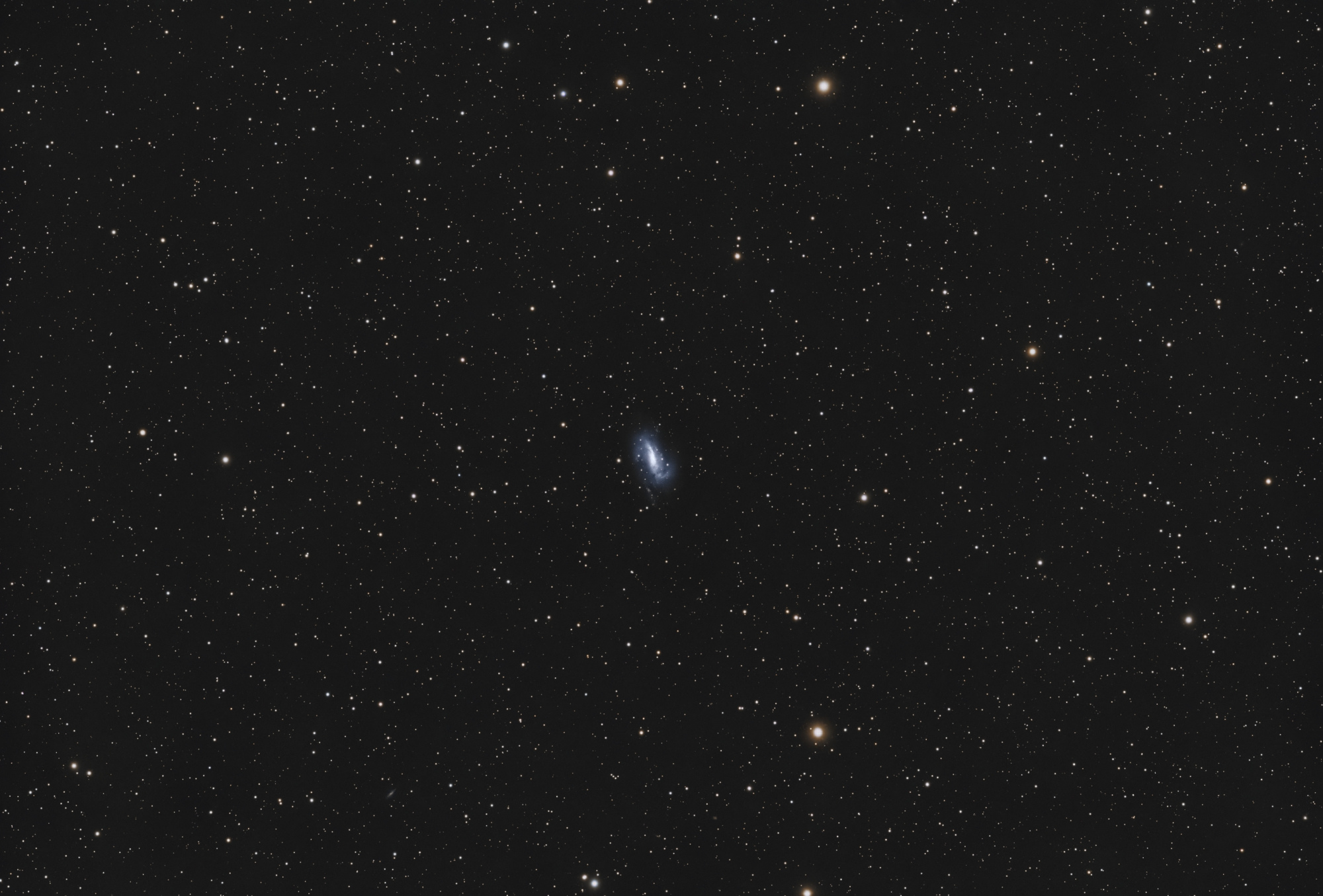 65dd8f75783e0_NGC925v2_RGB-finale.thumb.jpg.fdc84c0ee6784517cf888148471adab2.jpg
