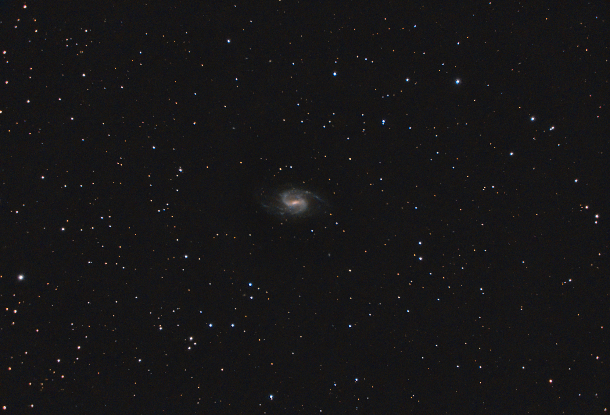 65dee4a32ee76_NGC3359-C8V2_RGB-siril-PS-finale.thumb.jpg.5f9a1c9d7326d765b9dd942d16347b20.jpg
