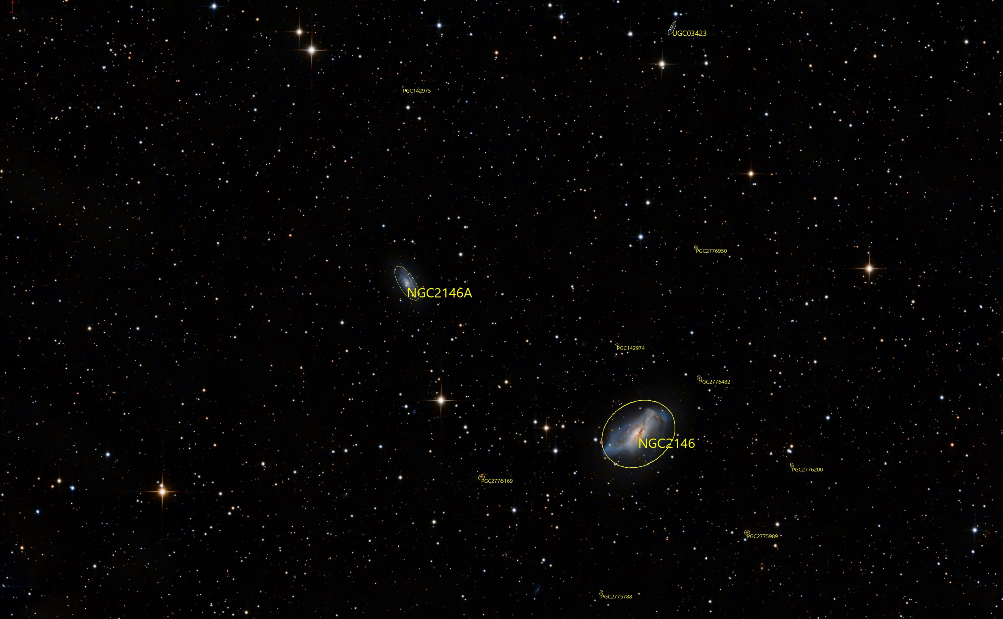 NGC2146_Antlia_L_Astap_annotation.thumb.jpg.1858d2ab6cab21d57a0610a73db0a038.jpg