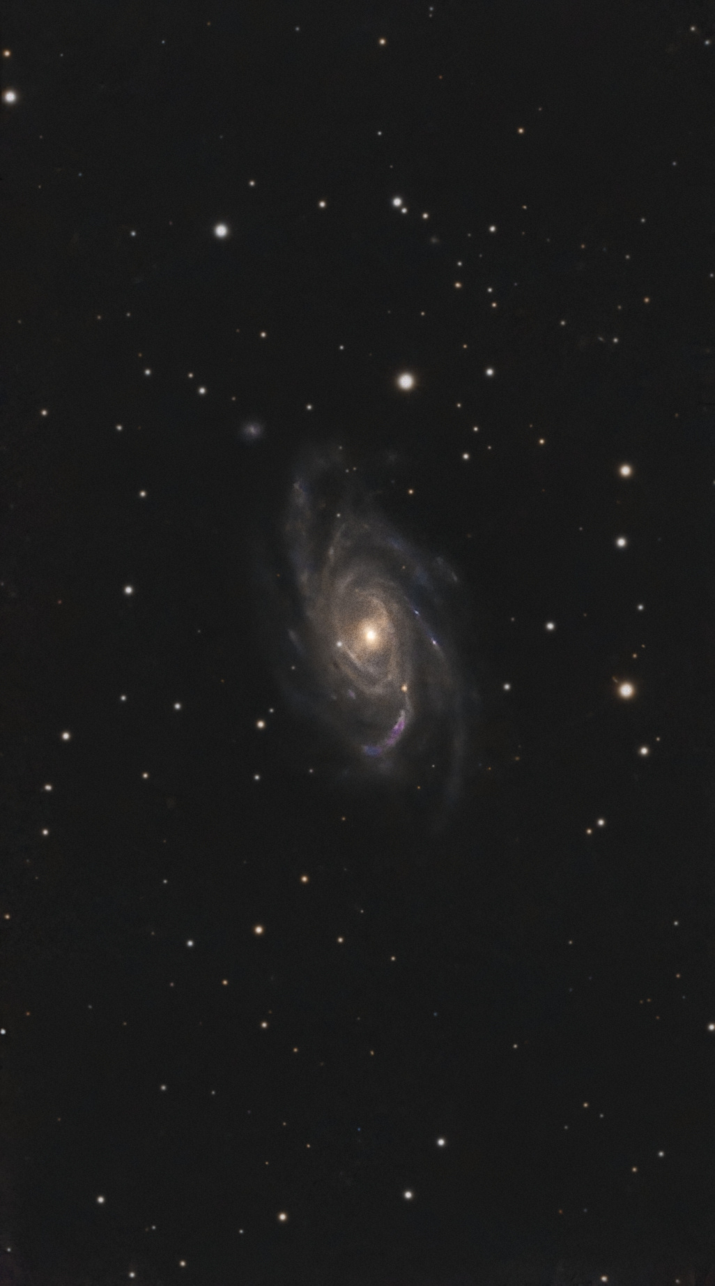 NGC2336-C8-464-finale.jpg.85e0865b846fcabf263cb4da084e1716.jpg