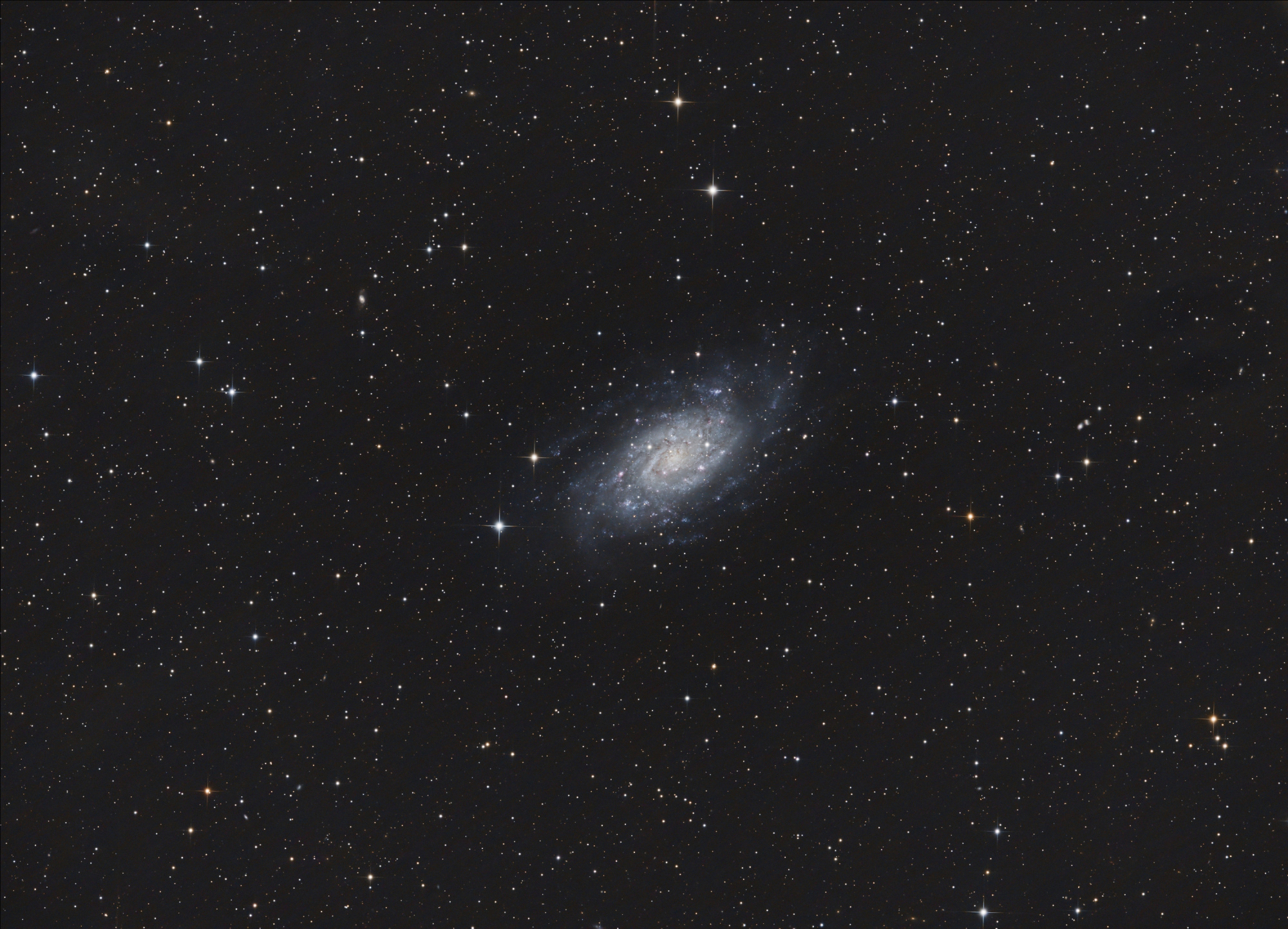 NGC2403_Antlia-L_FinPix_Reduit.thumb.jpg.069ec9d5a670342314bbfde611daf0d6.jpg