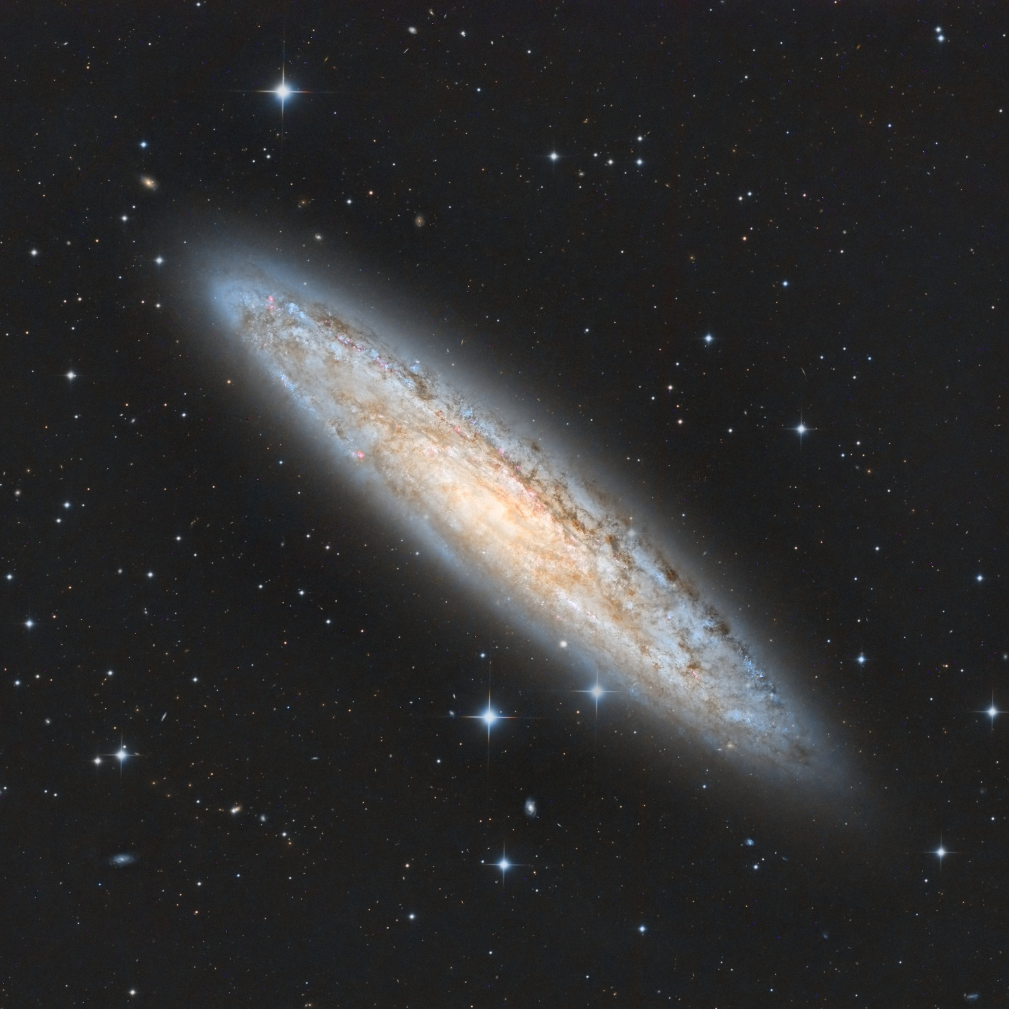 NGC253-Traitement_light.thumb.jpg.cbb0feb3abfdc6a79375f1d5cc032e96.jpg