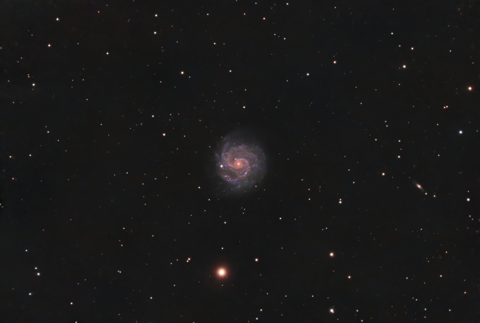 NGC3184-V2_RGB-crop-finale.thumb.jpg.de4df17e3d567fa8d778ebf65952f032.jpg