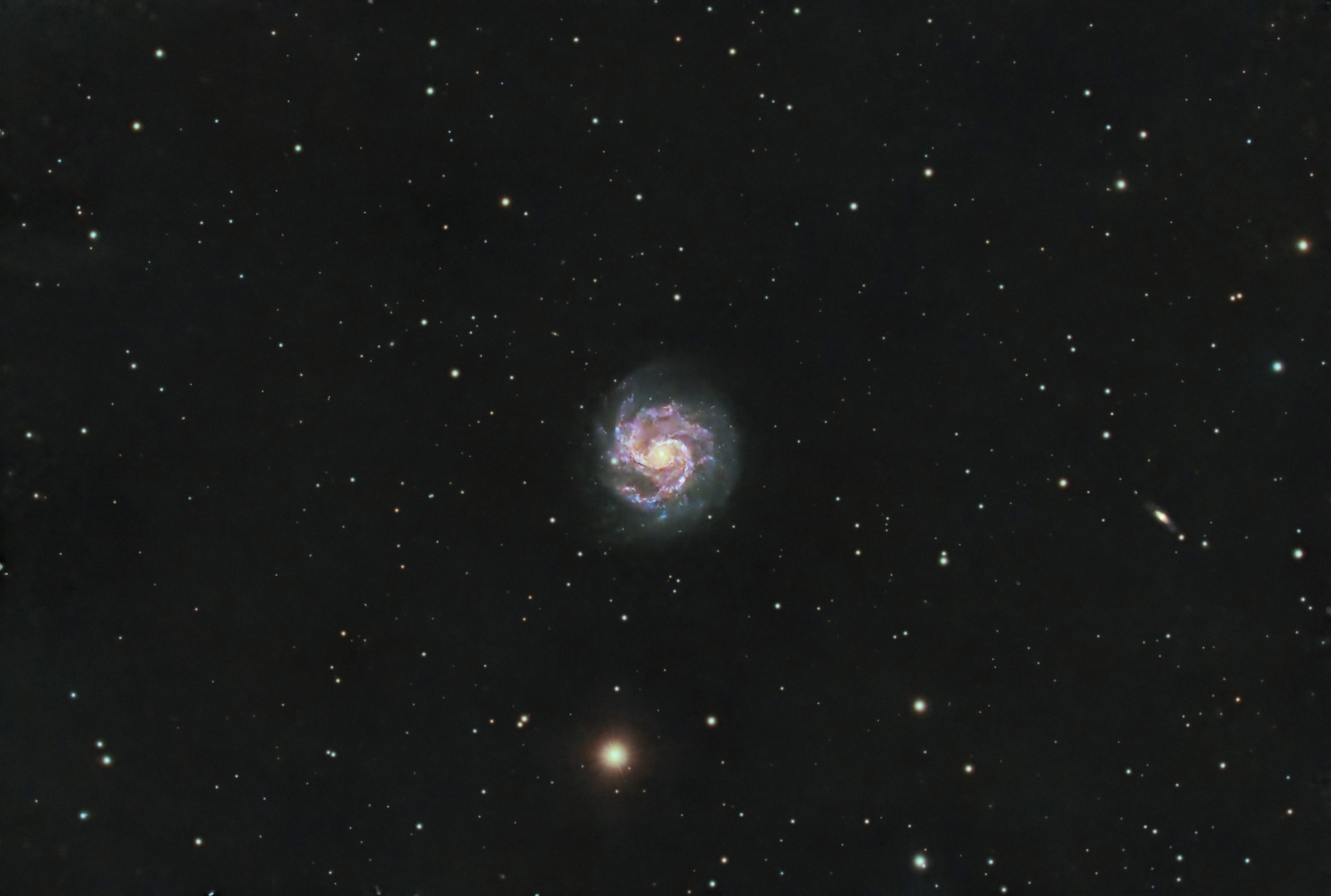 NGC3184-V2_RGB-finale.thumb.jpg.0337d27b38dc68e4ead94767d957d807.jpg
