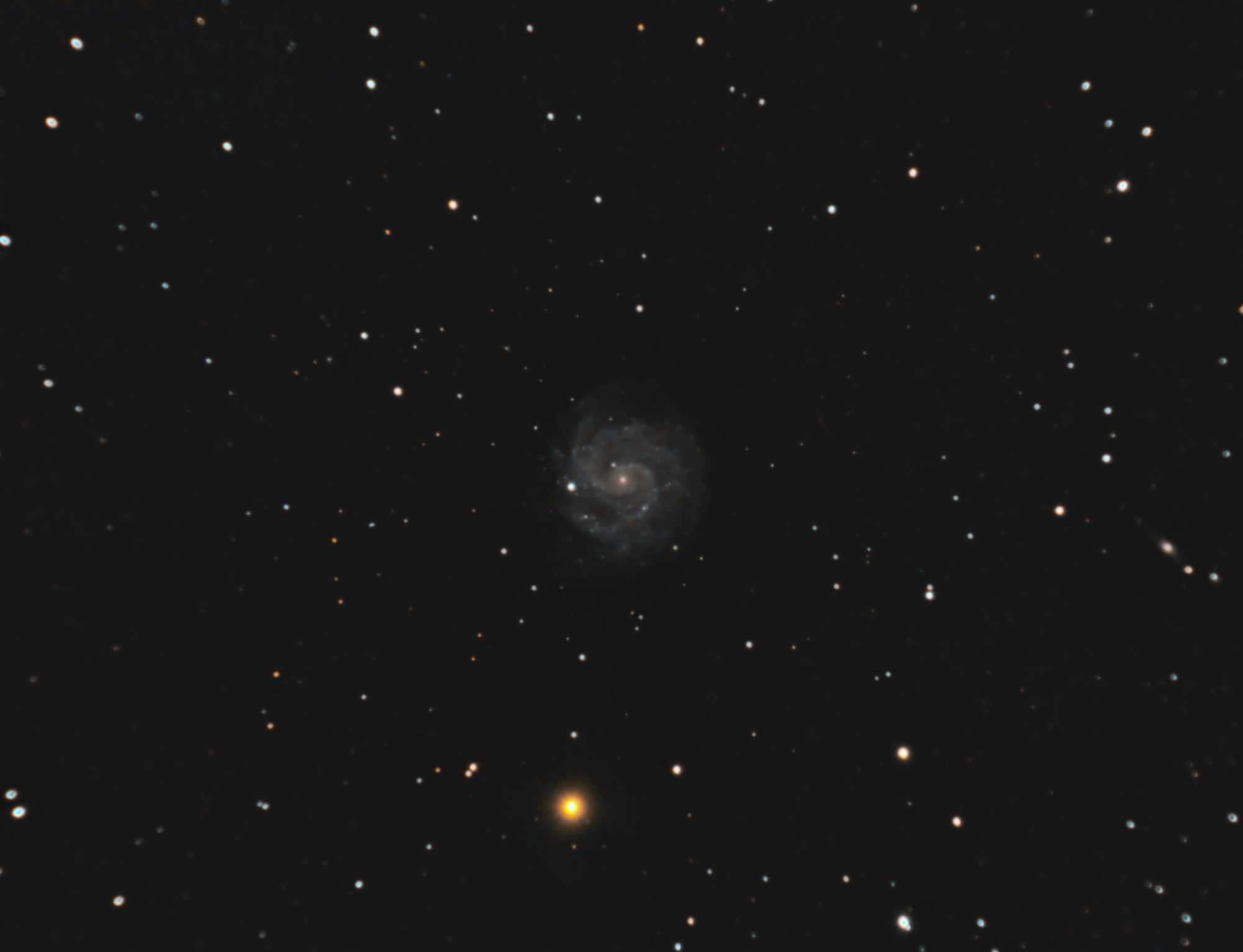 NGC3184-V2_RGB-siril-Pix-PS-finale.thumb.jpg.65299ec6832c6d747cd2edcdbb2f0d71.jpg