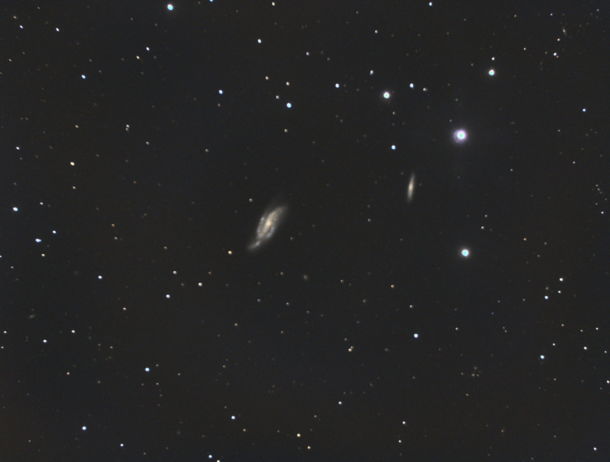 NGC4088-V2_RGB-siril-histo-base-pix-auto-finale.thumb.jpg.63b2c1a5b6bfd67513d943f1f95384fa.jpg