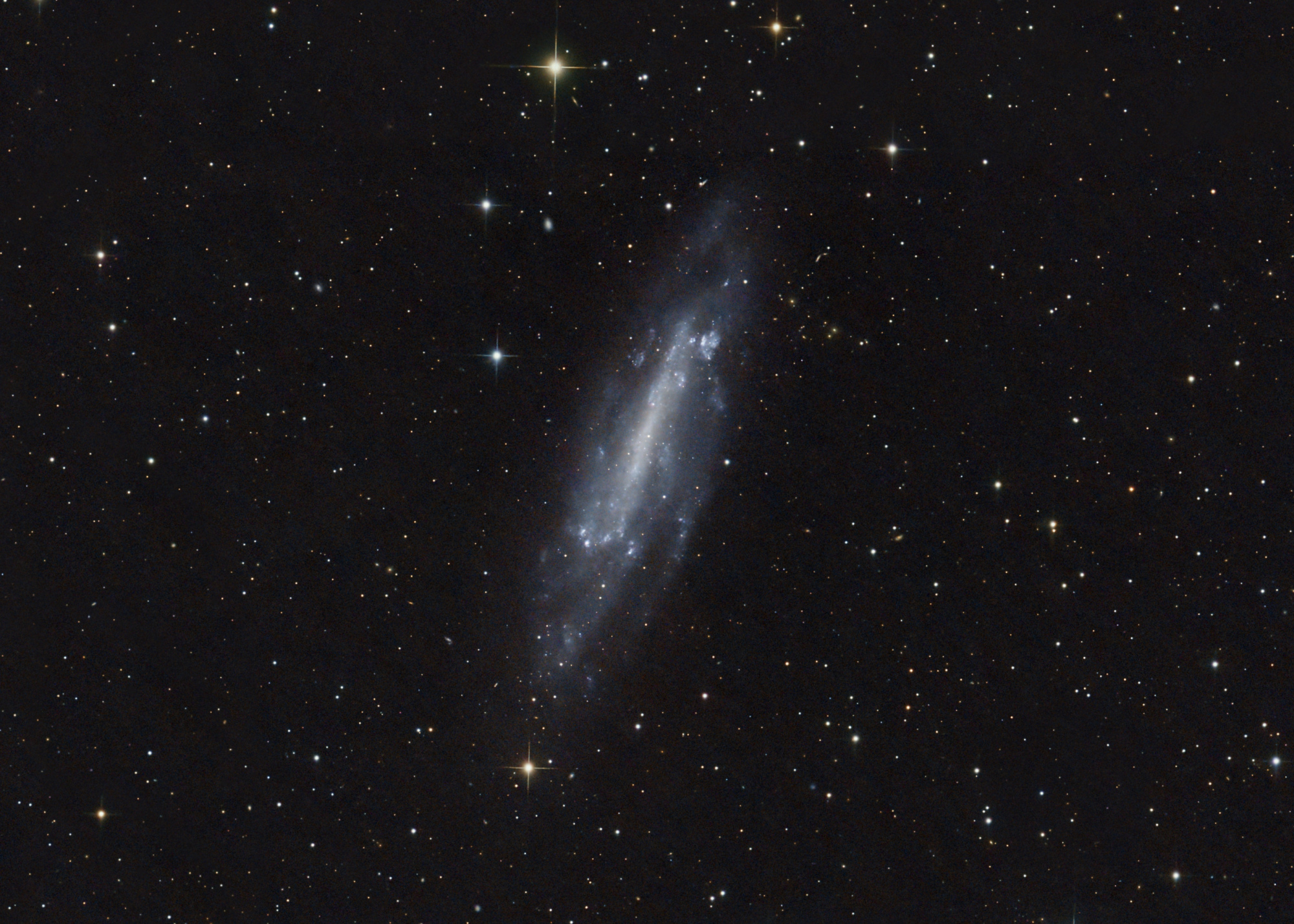 NGC4236_Drizzle1_FinPix_CropGalaxie.thumb.jpg.fc67709f257779f79373764cfb6d9094.jpg